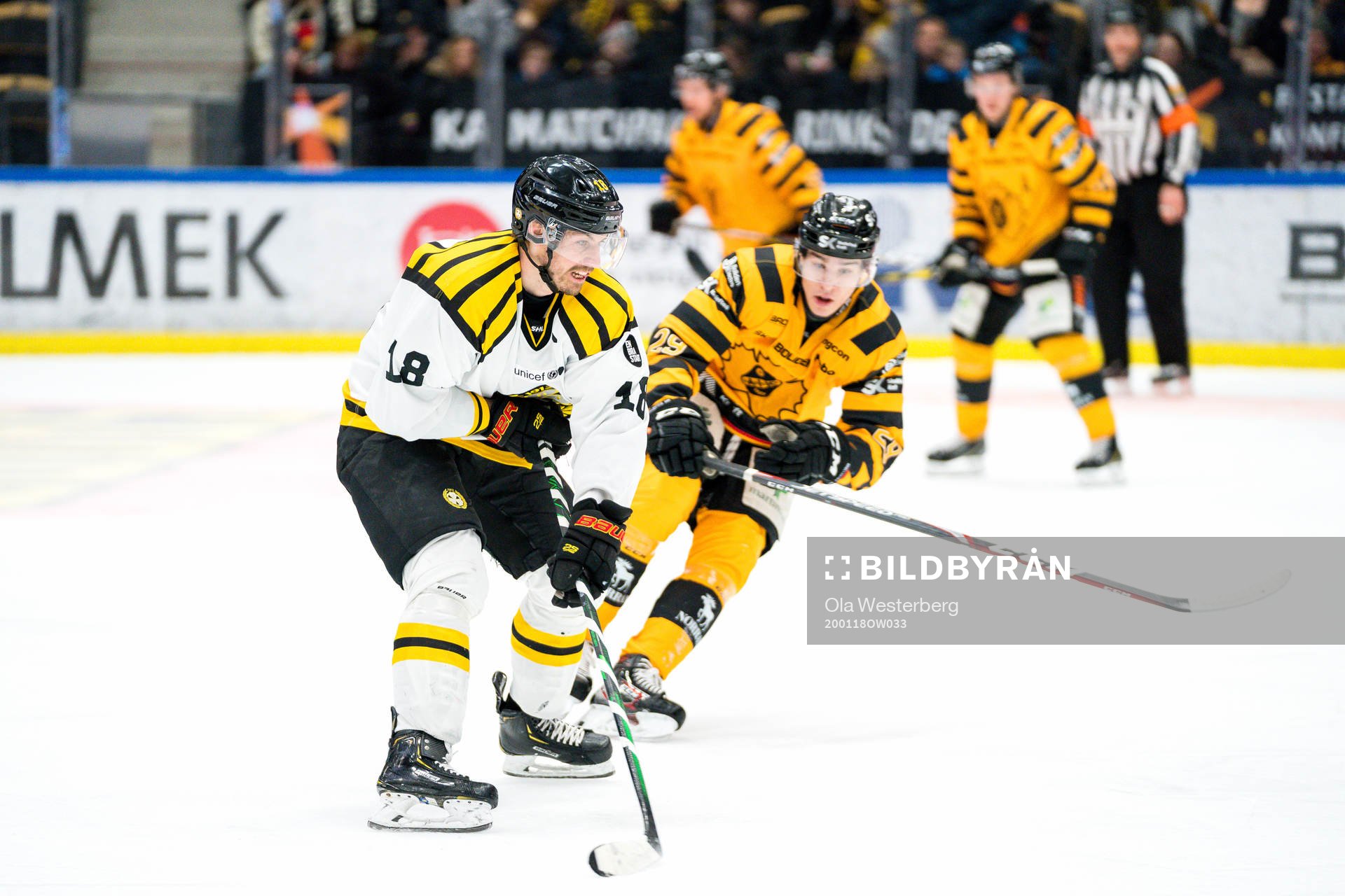 Skellefteås Albin Sundsvik