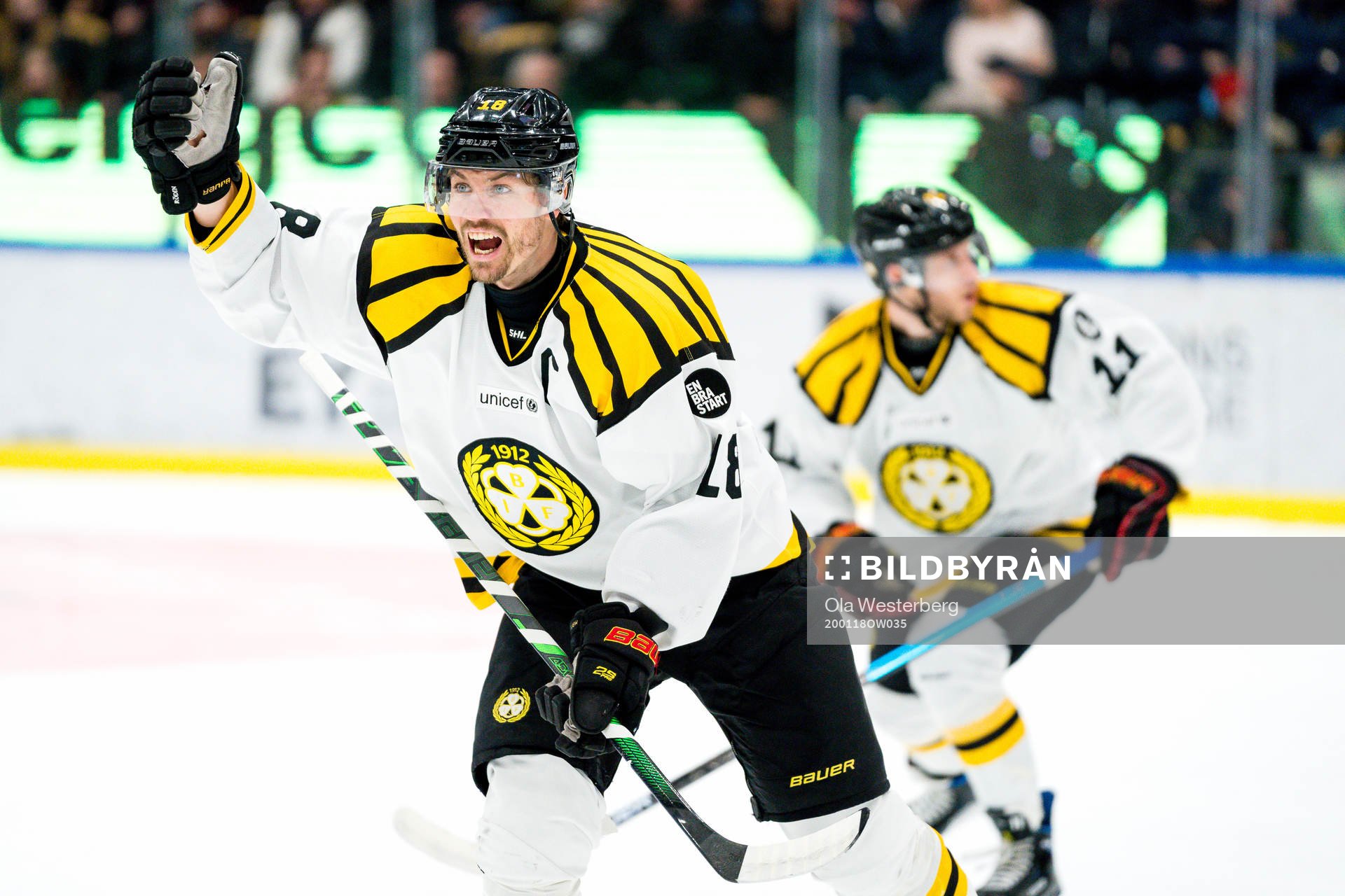 Brynäs Anton Rödin