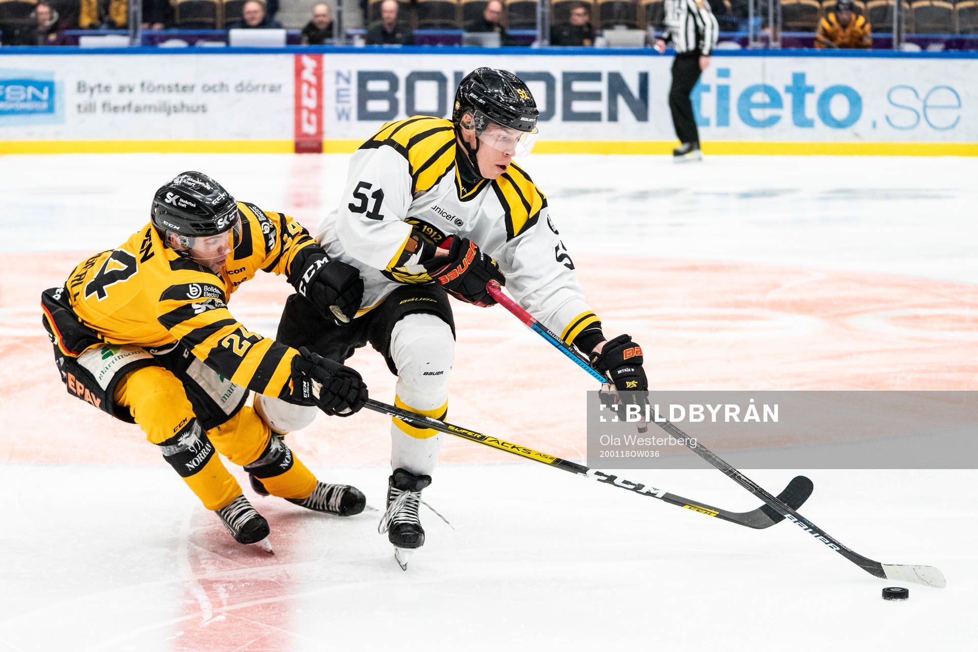 Skellefteås Andreas Wingerli och Brynäs Tomi Sallinen