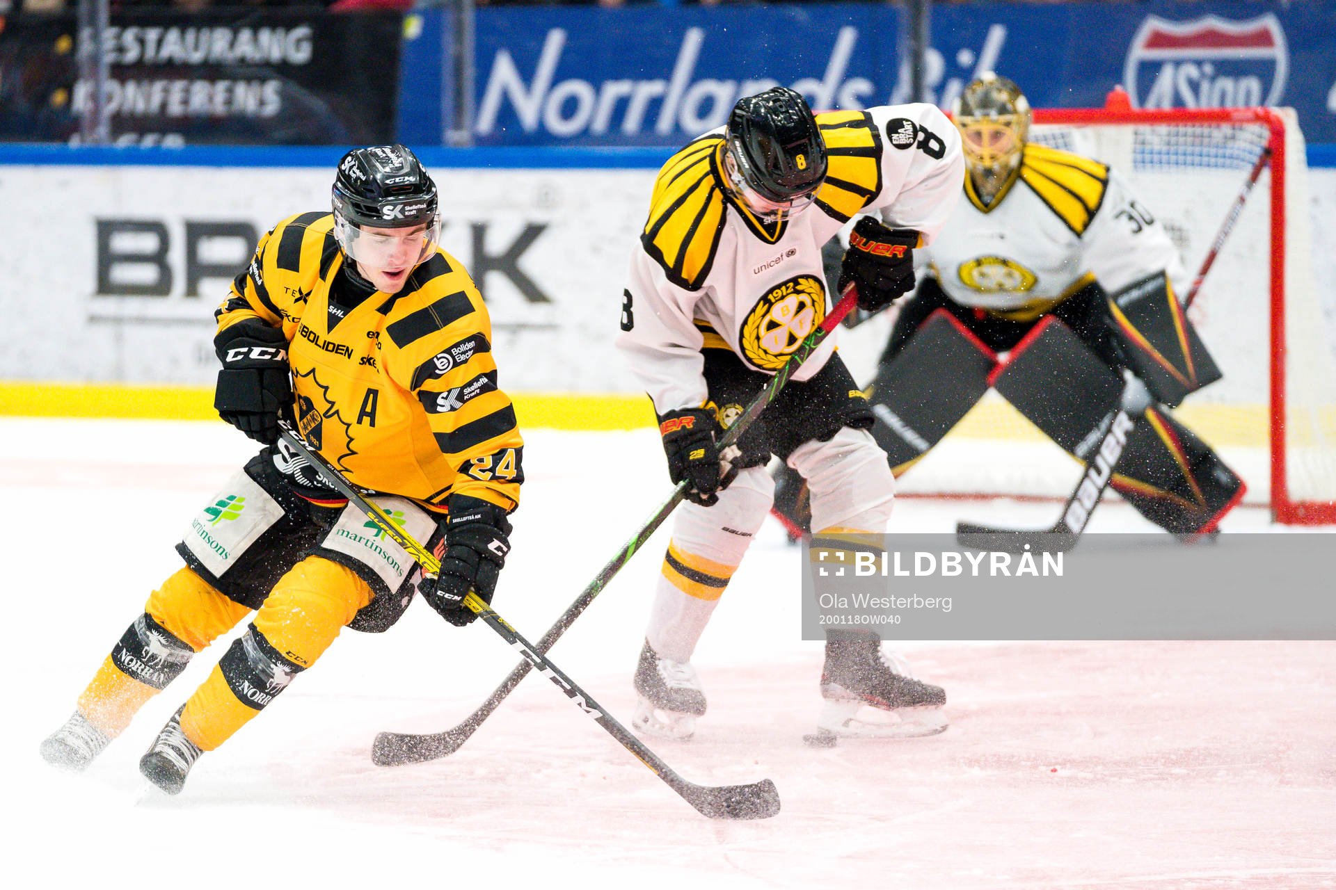 Skellefteås Andreas Wingerli