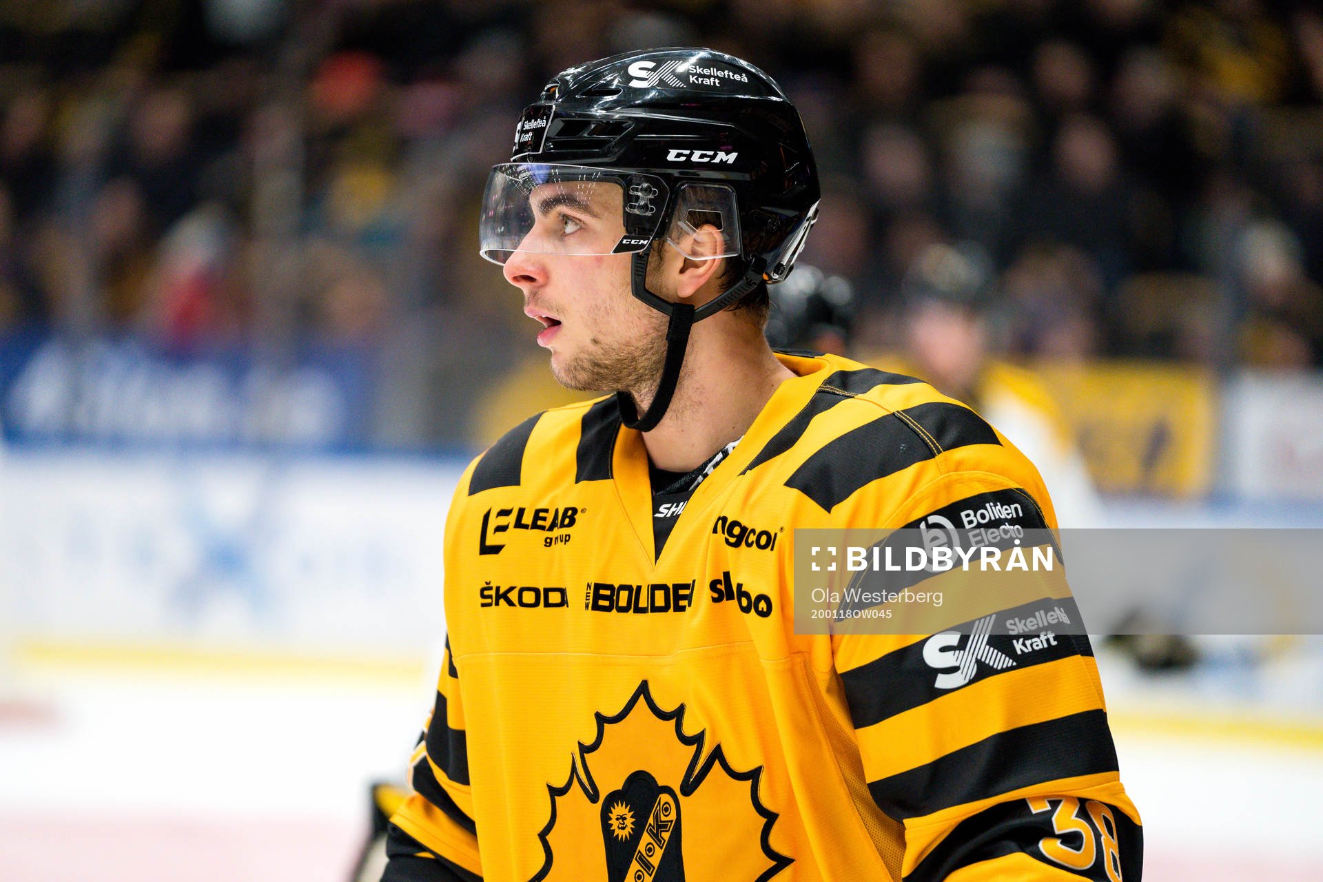 Skellefteås Jacob Olofsson