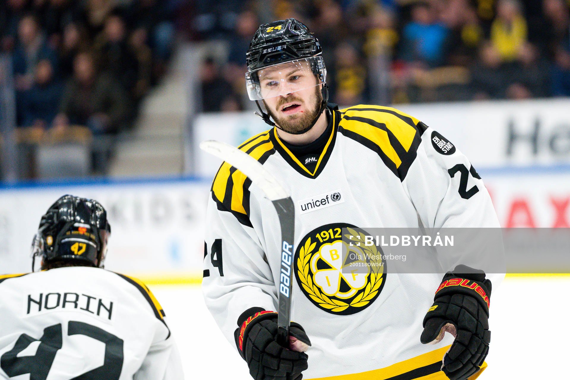 Brynäs Emil Molin