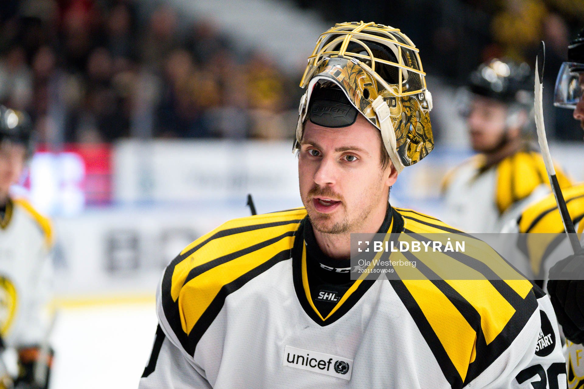 Brynäs målvakt Joacim Eriksson