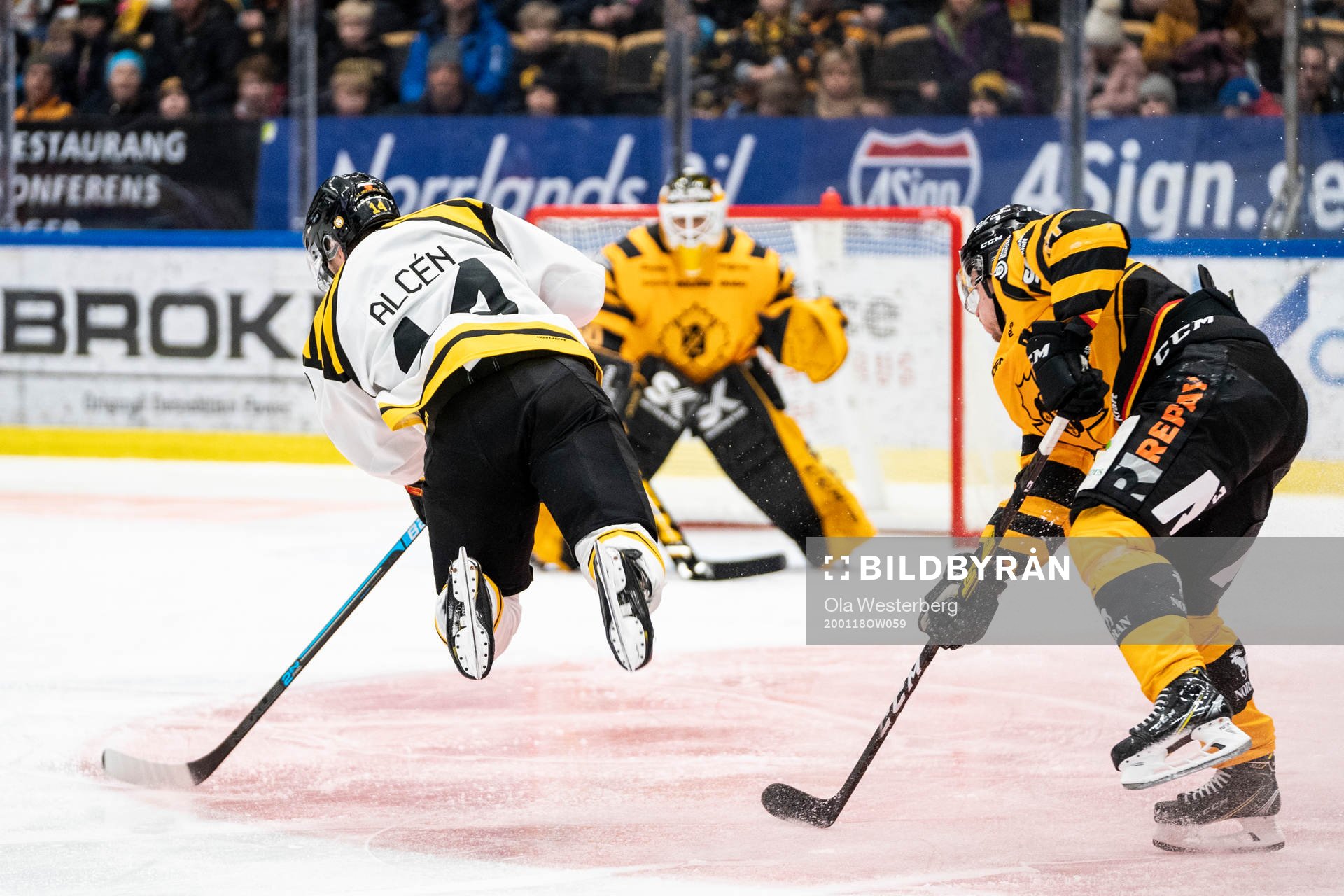 Brynäs Johan Alcén