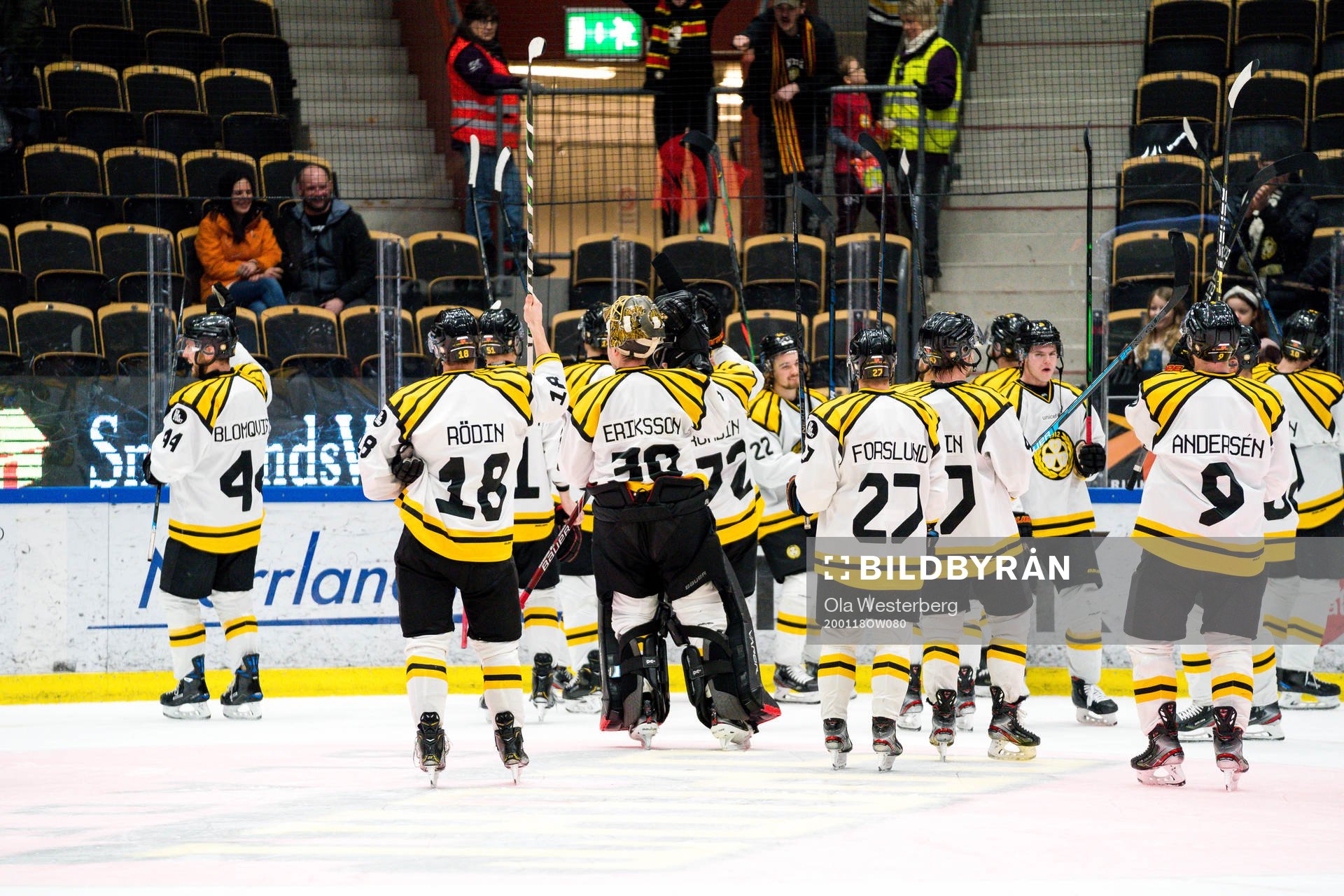 Brynäs jublar