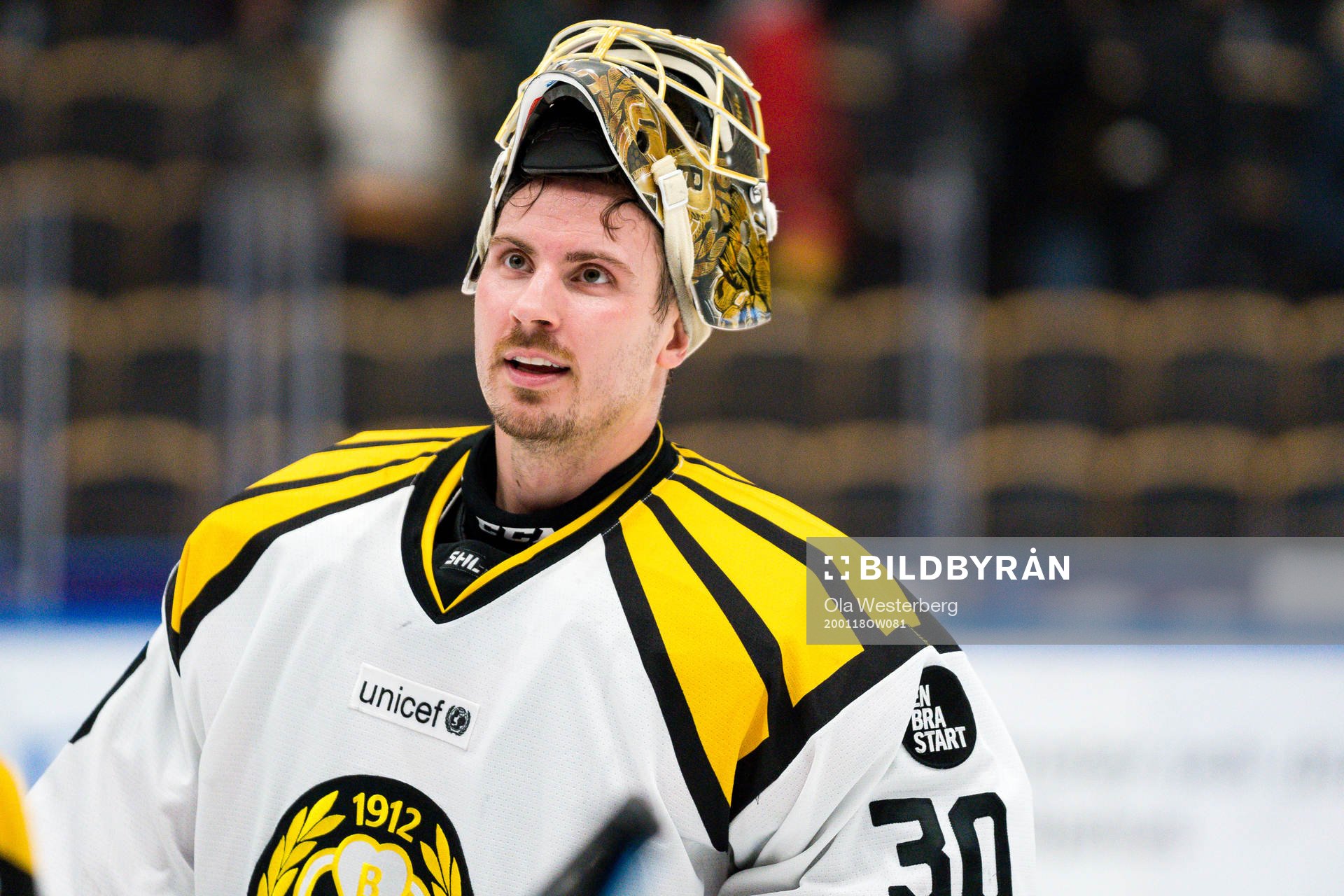 Brynäs målvakt Joacim Eriksson jublar
