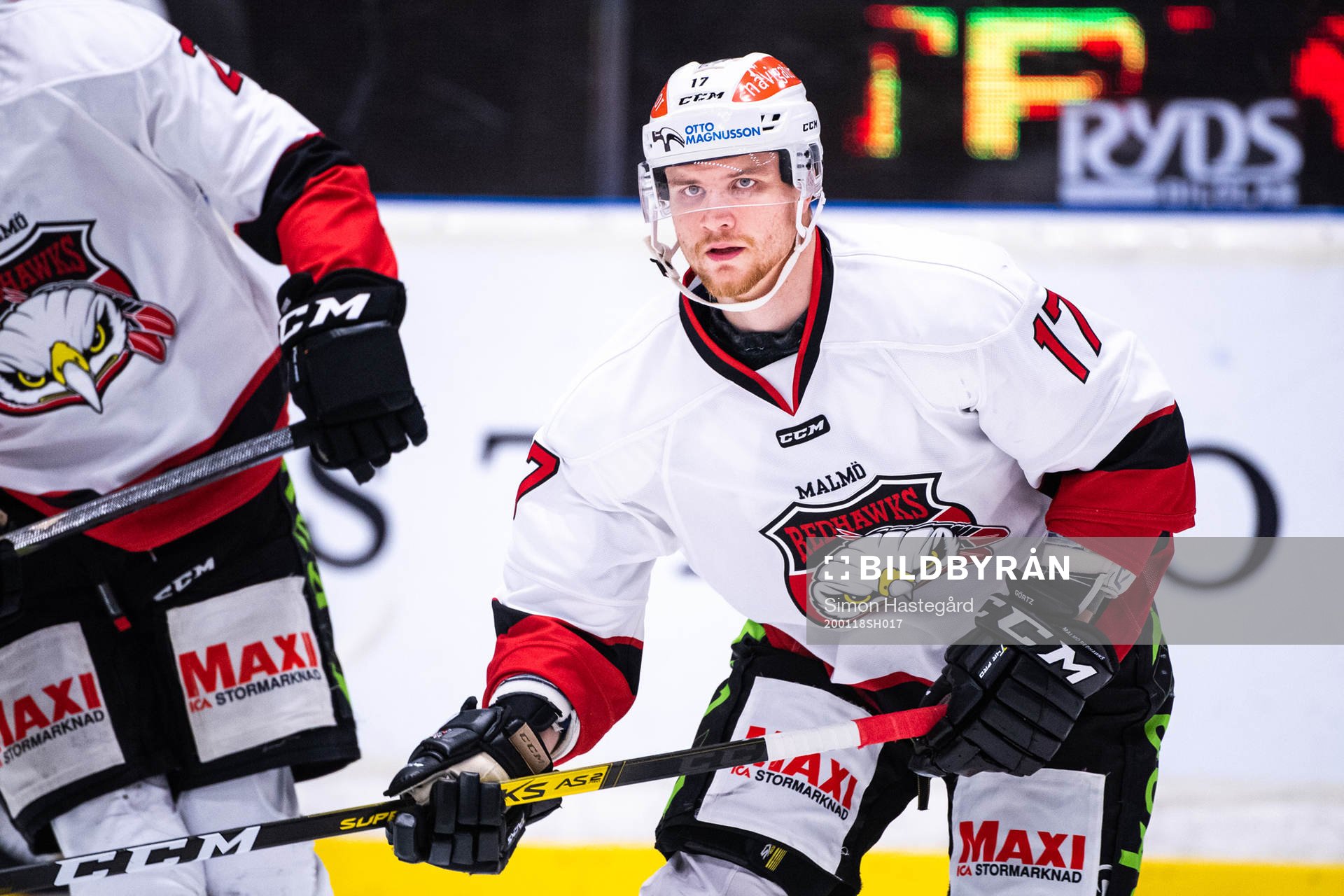 Malmö Redhawks Max Görtz