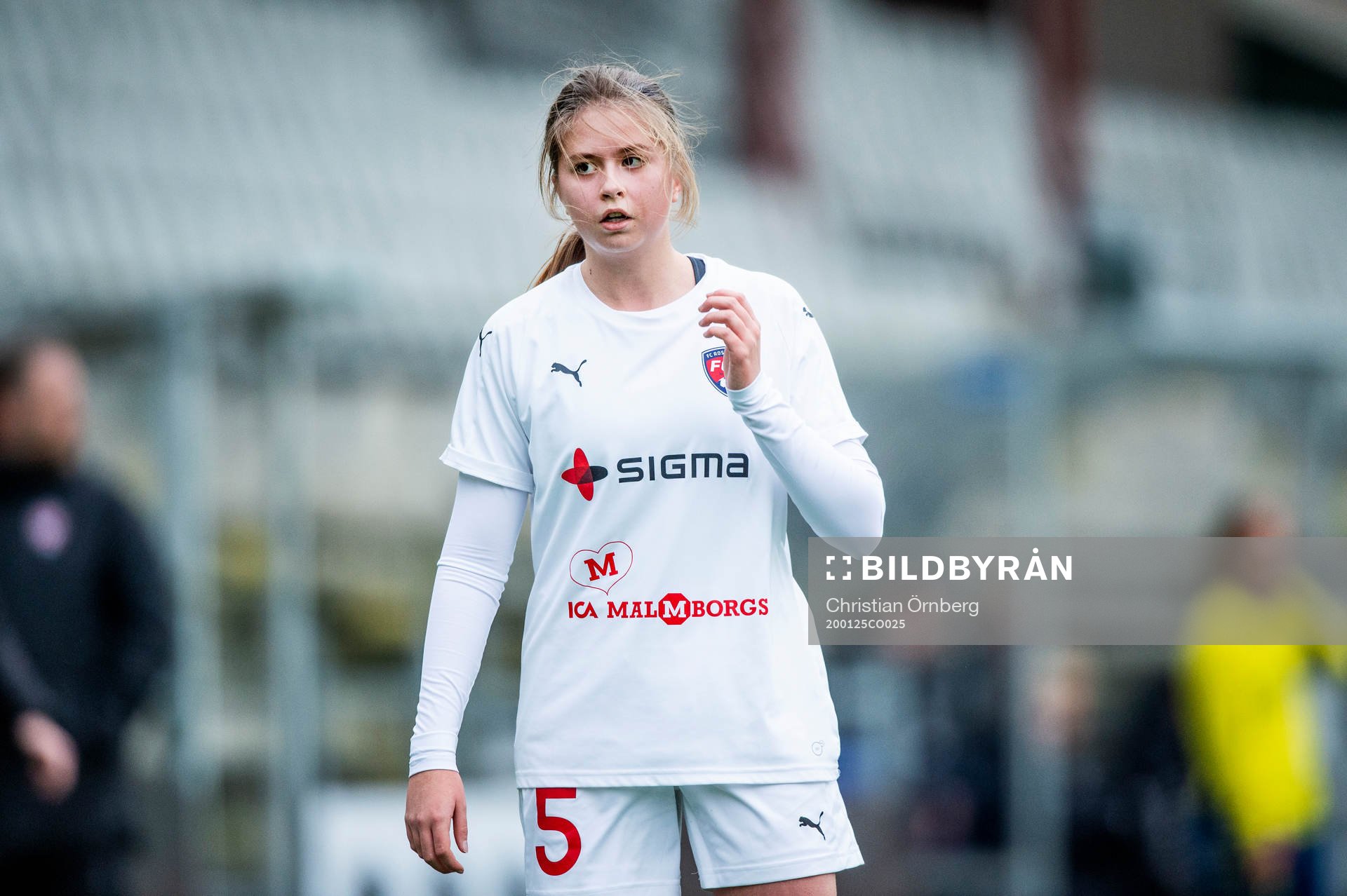 Rosengårds Tilde Regina