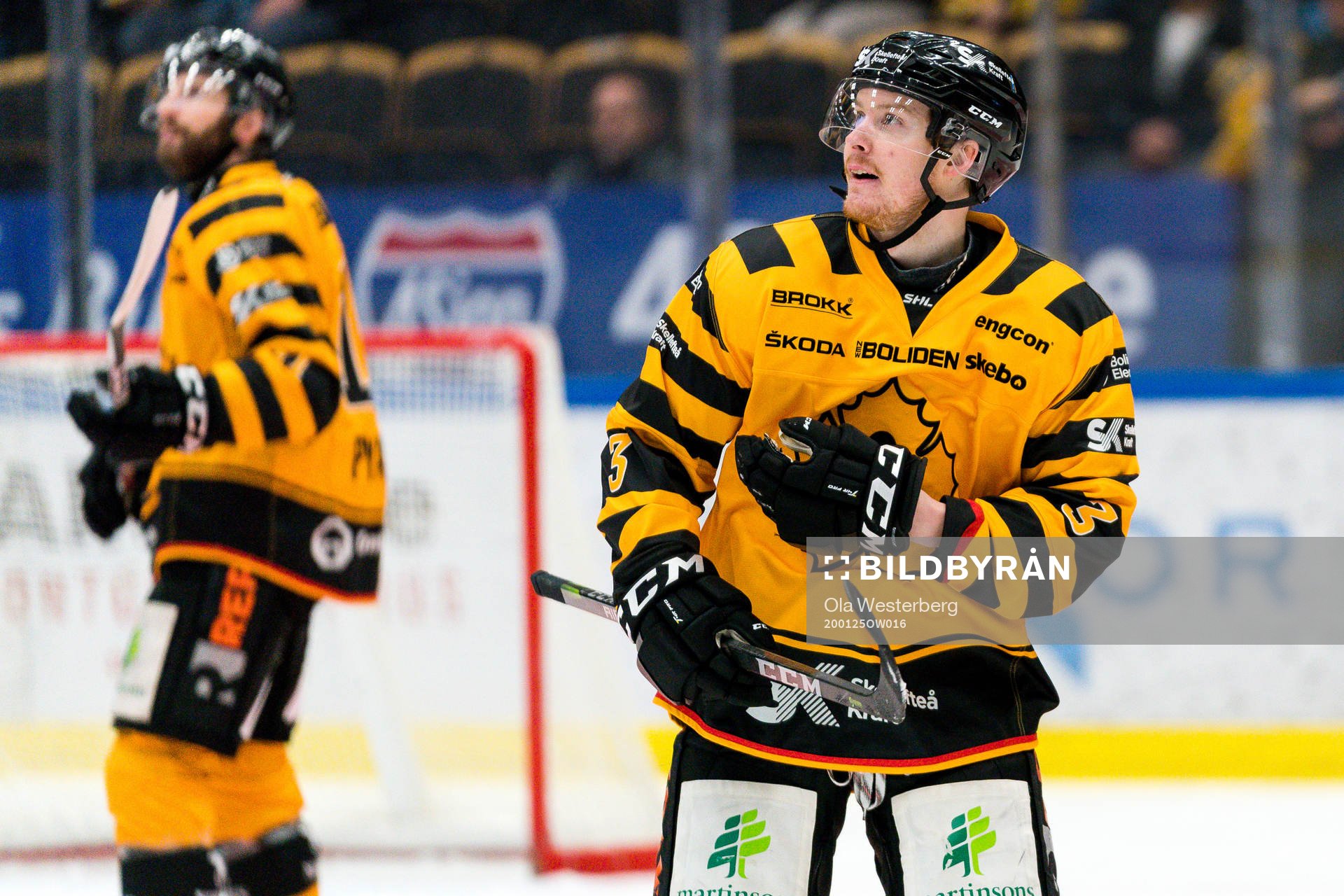 Skellefteås Niclas Burström och Tom Pyatt jublar