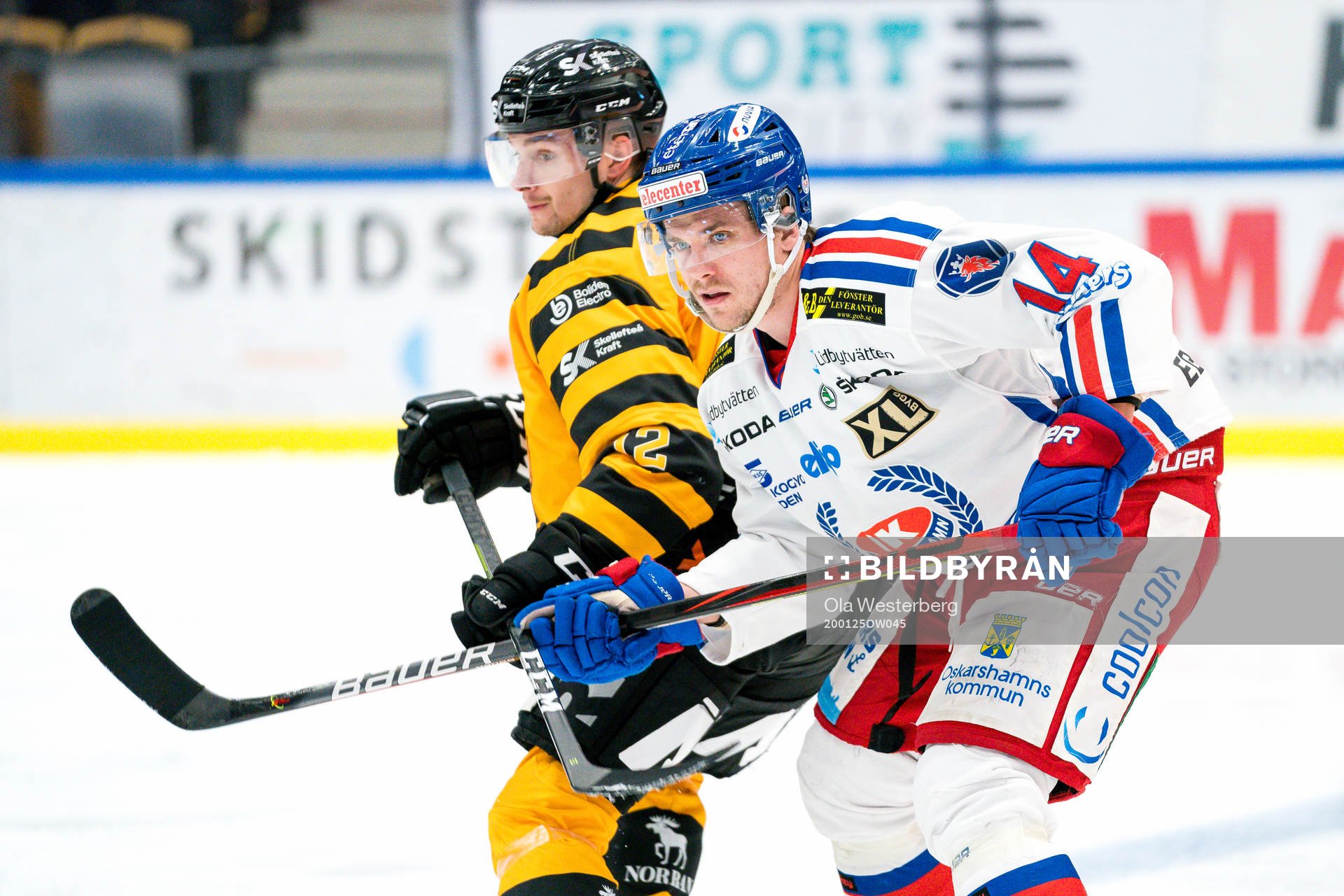 Skellefteås Adam Pettersson