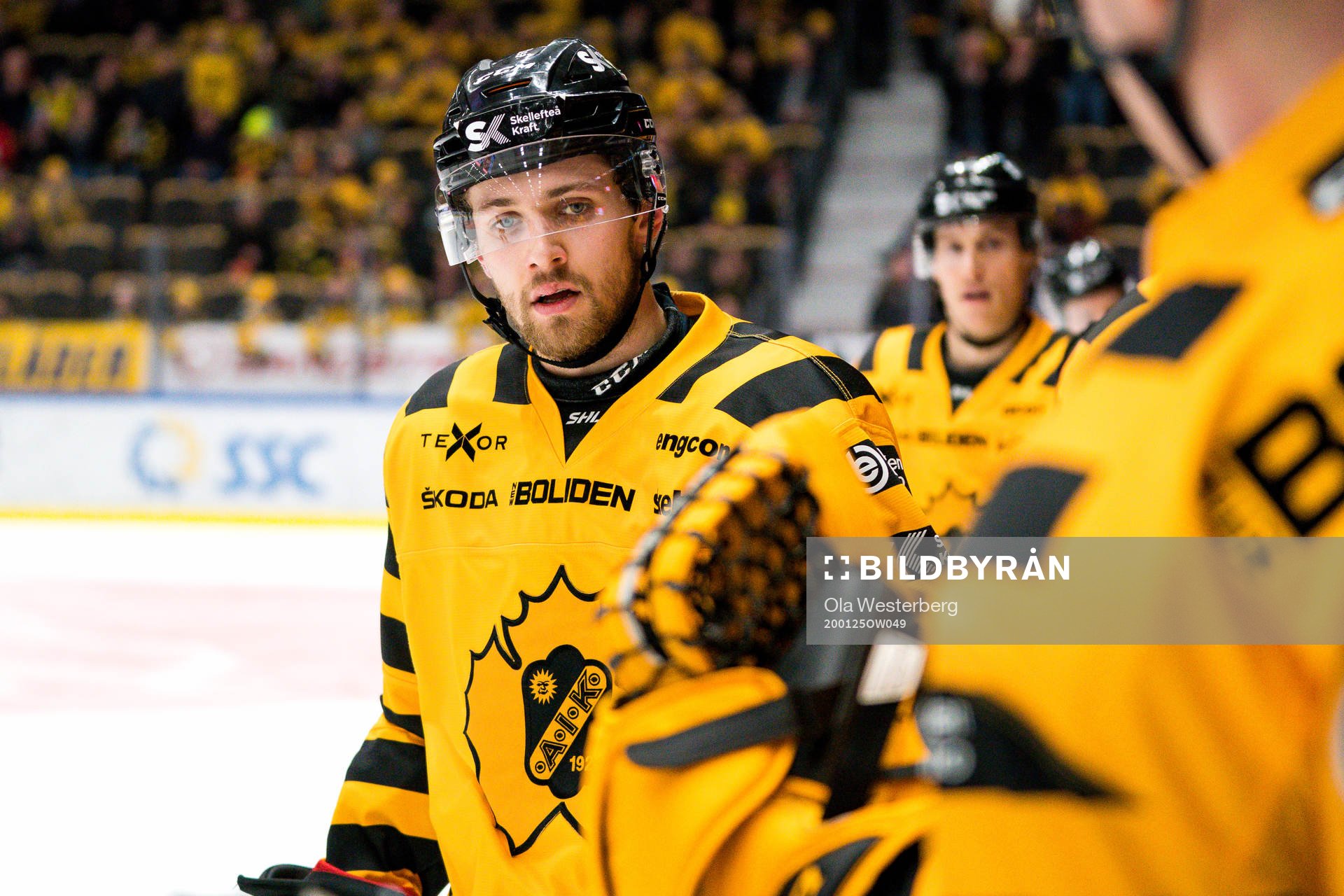 Skellefteås Arvid Lundberg jublar