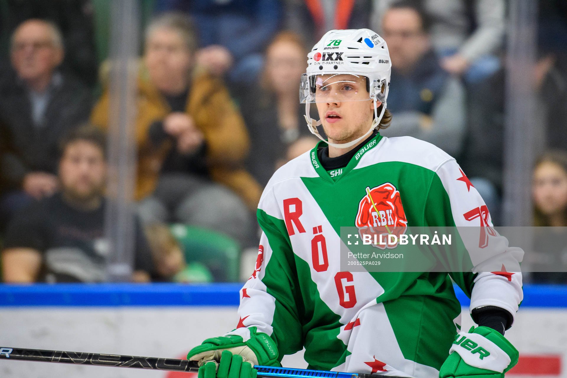 Rögles Dominik Bokk
