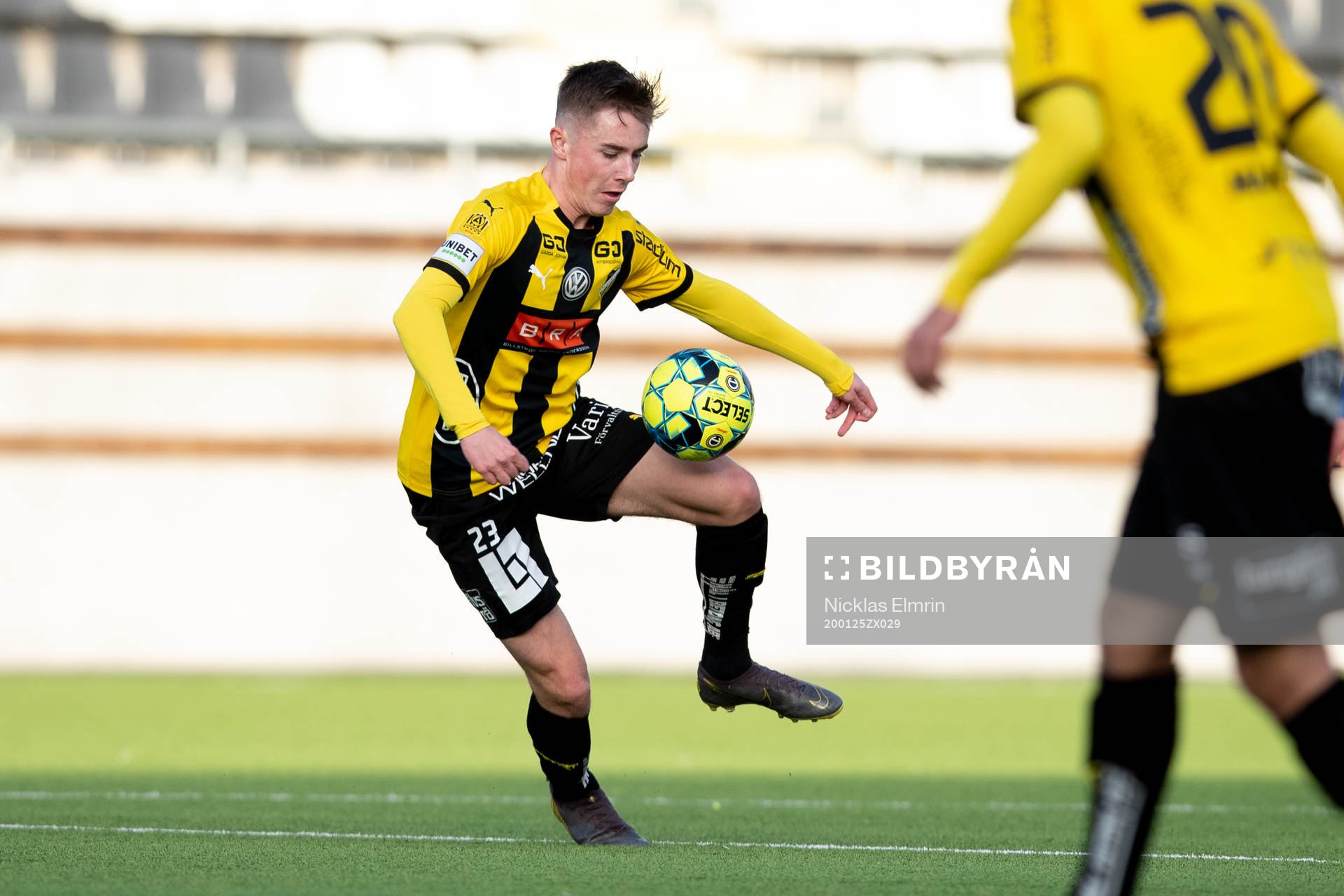 Häckens Patrik Wålemark