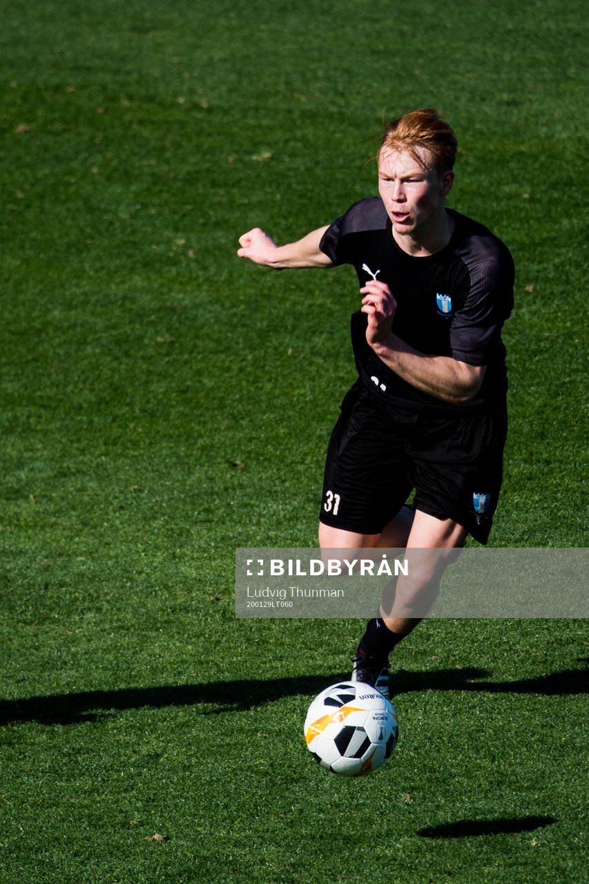 Linus Borgström
