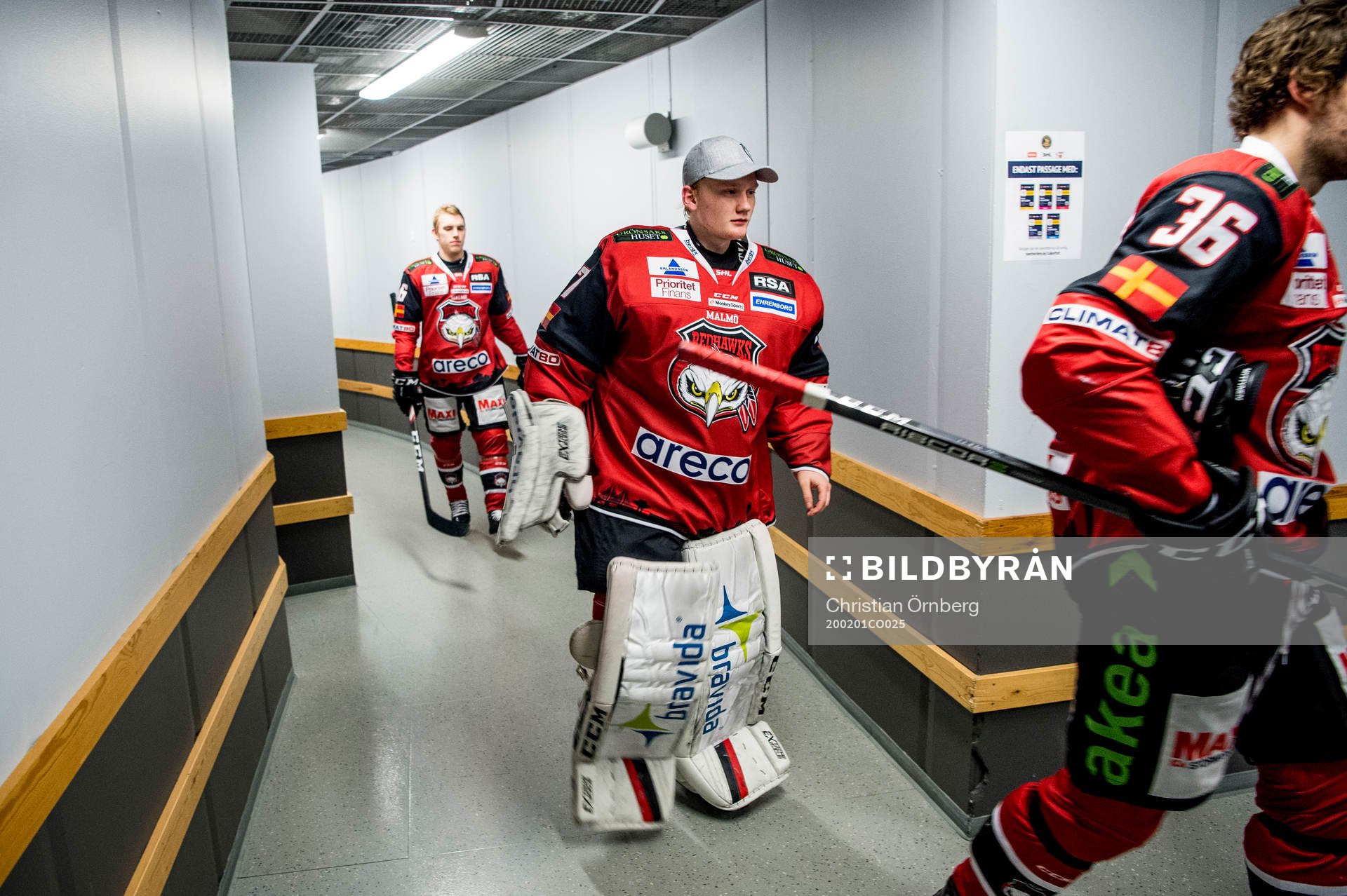Malmö Redhawks målvakt Alfred Hallin innan