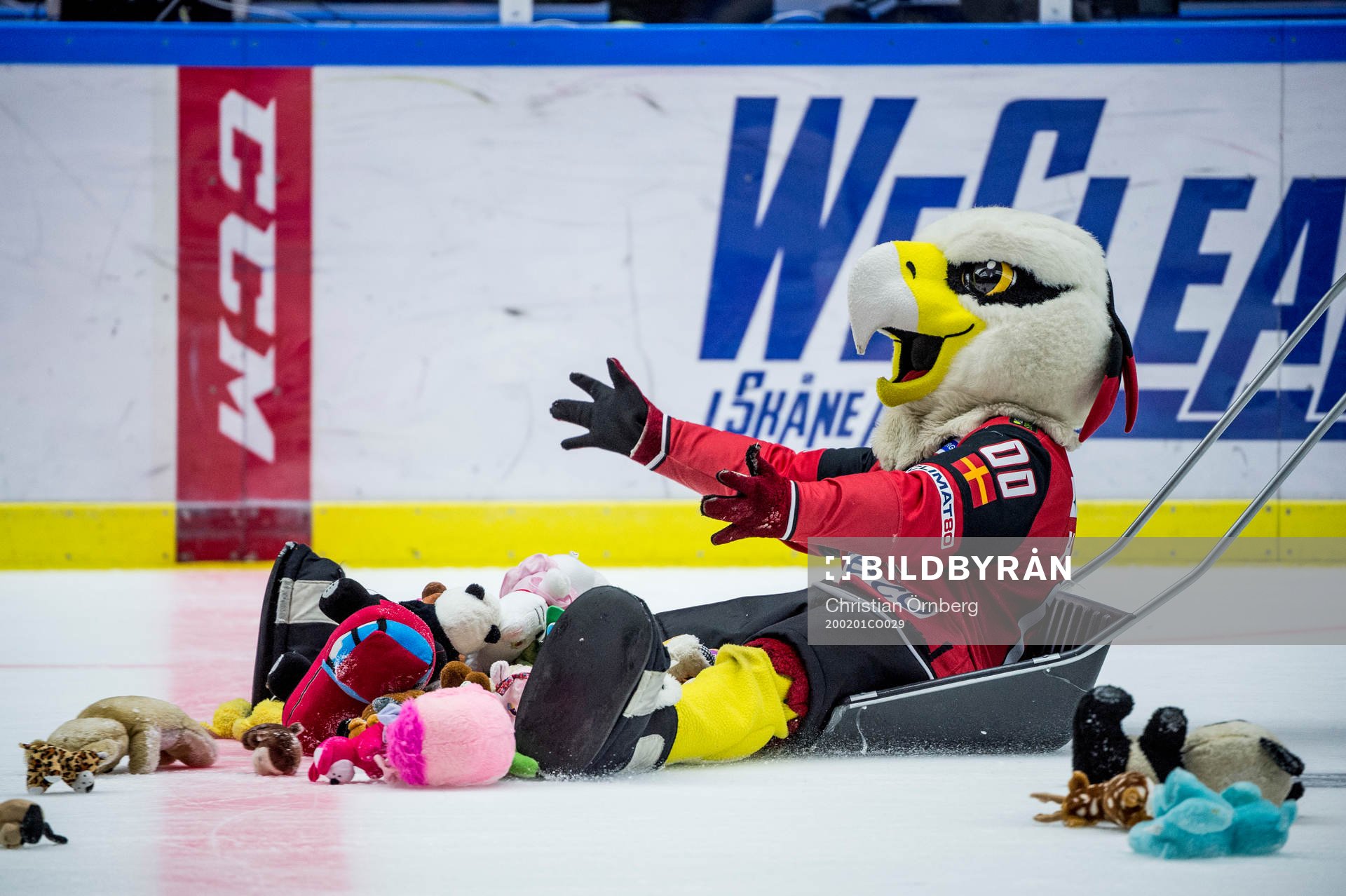 Teddy bear toss