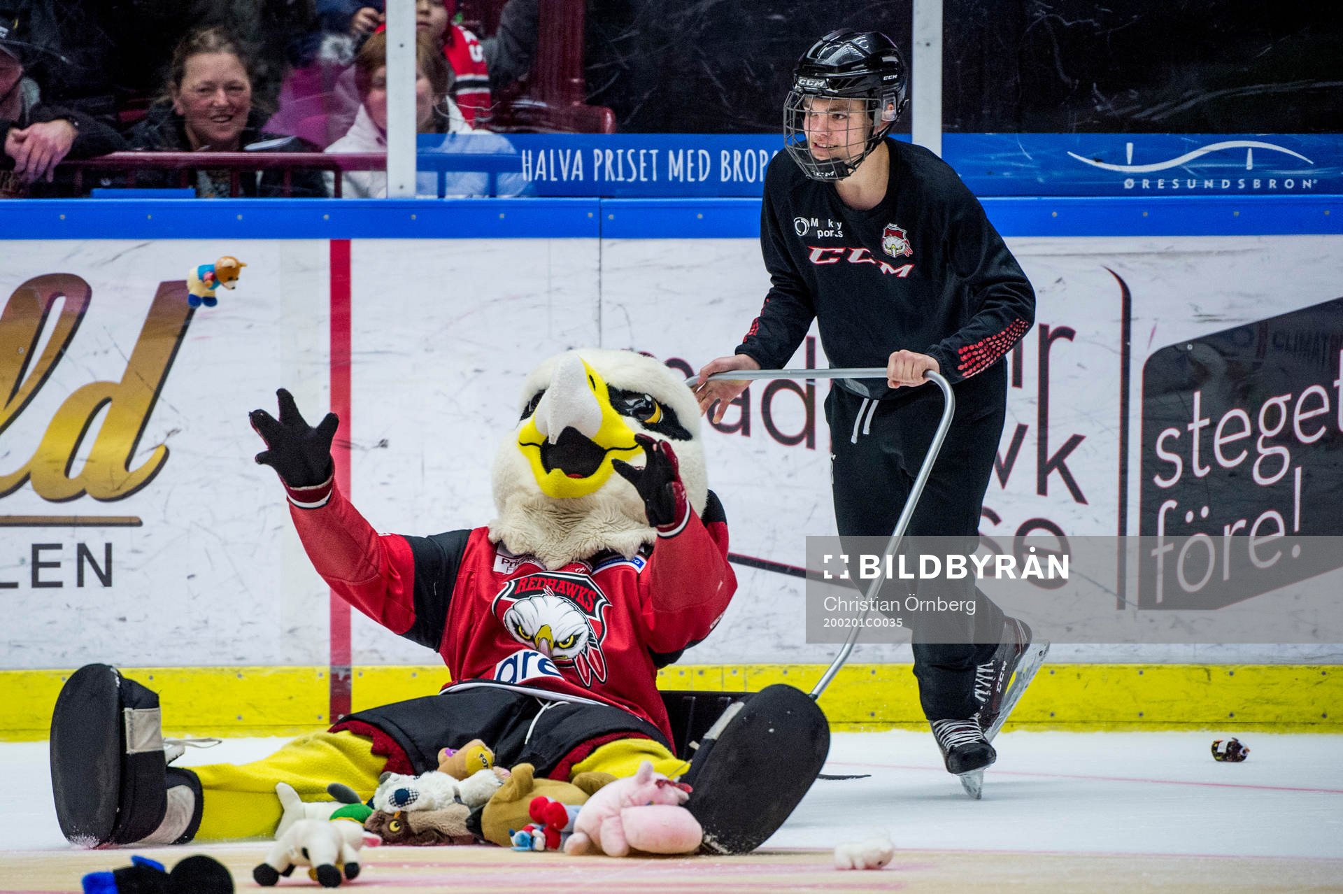 Teddy bear toss
