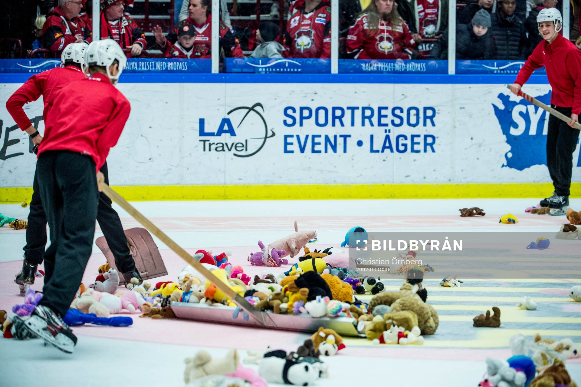 Teddy bear toss
