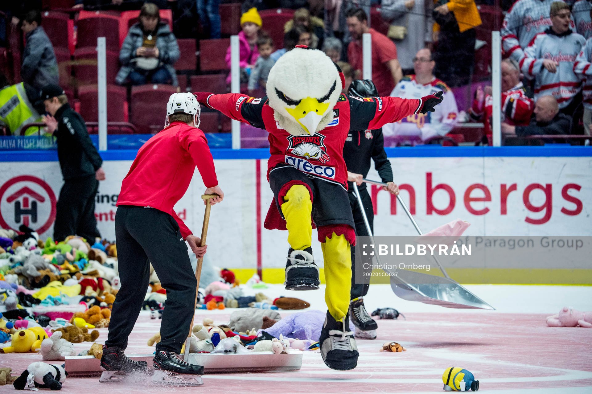 Teddy bear toss