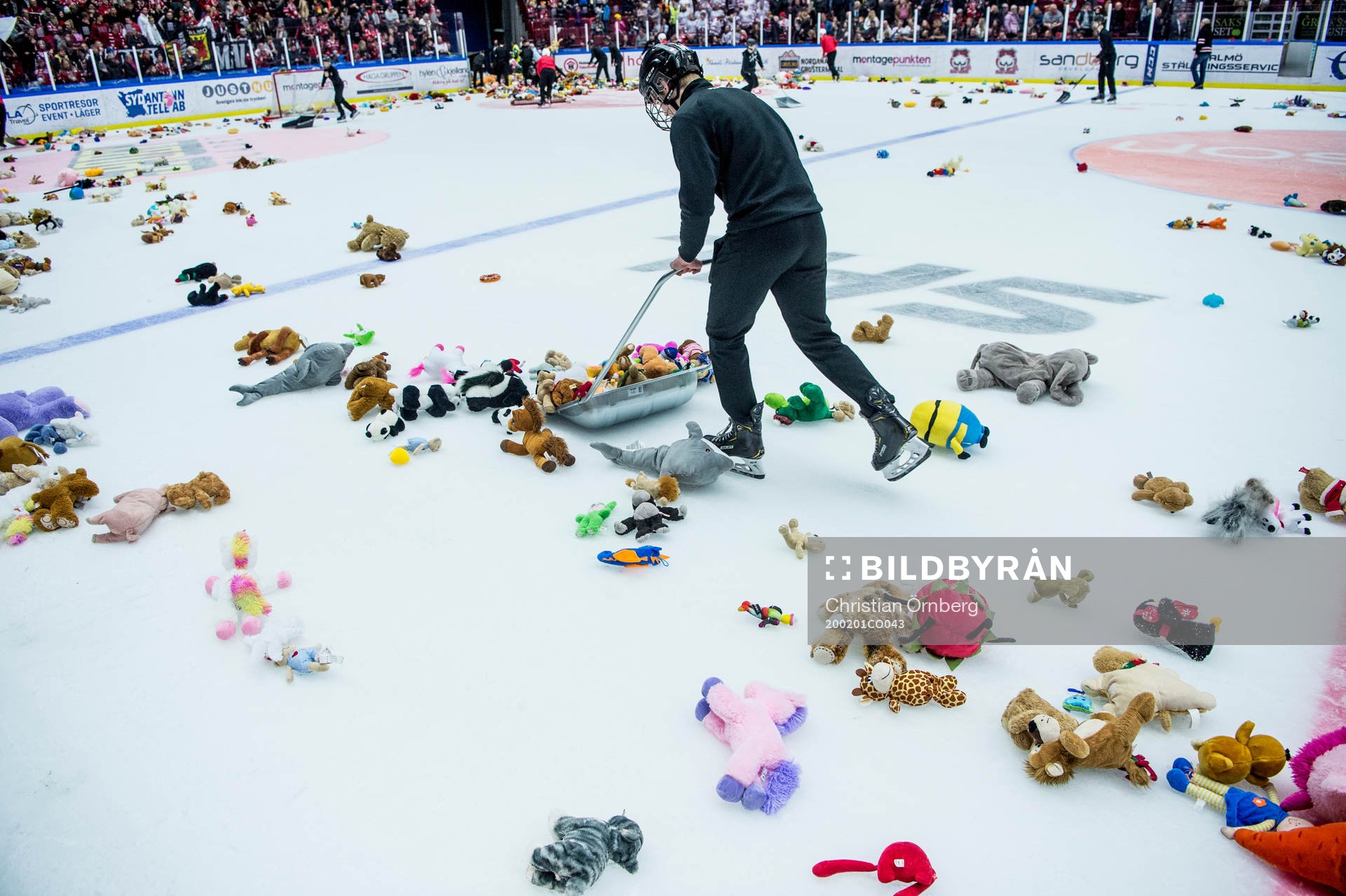 Teddy bear toss