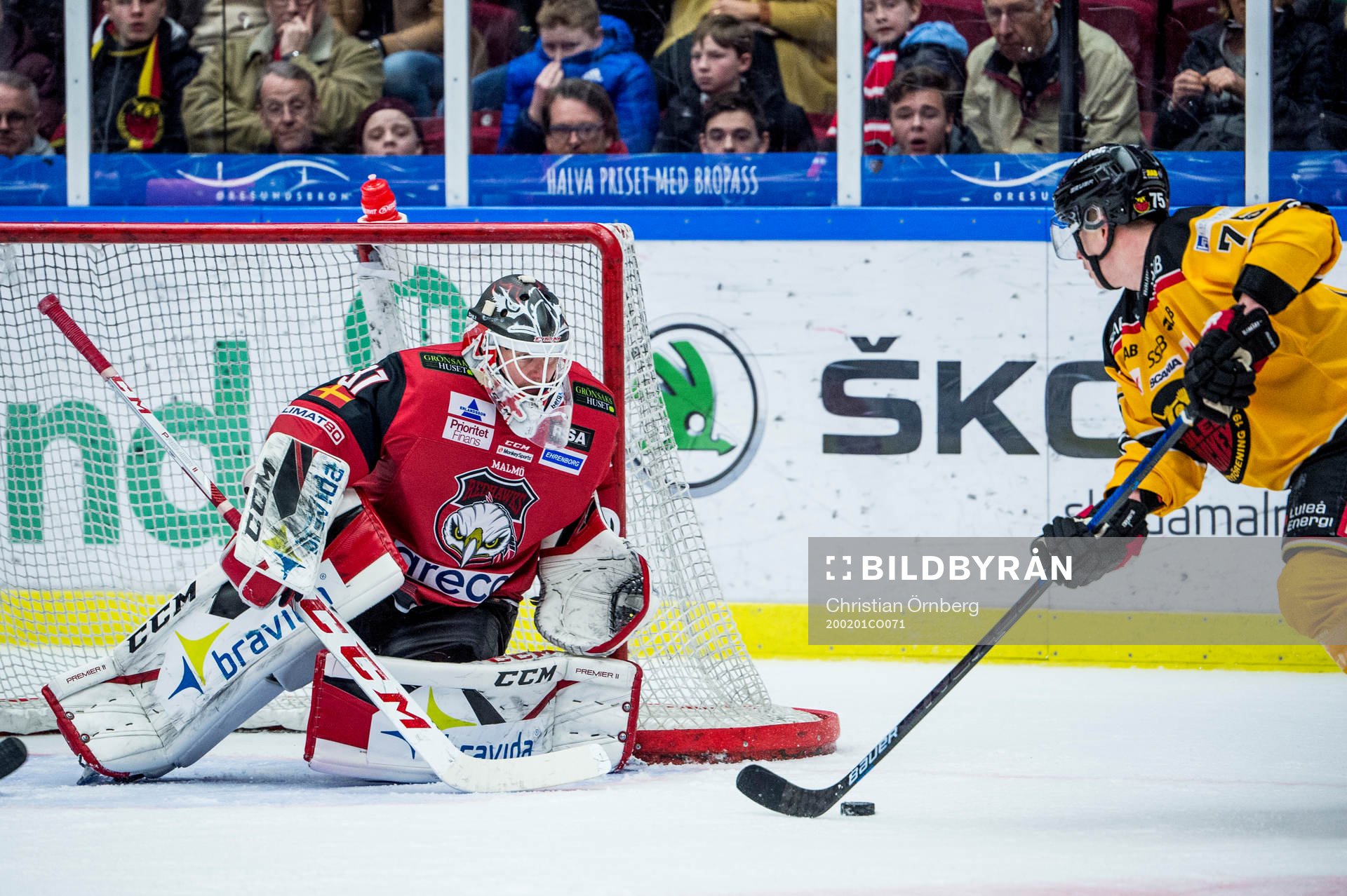 Luleås Arttu Ilomäki mot Malmö Redhawks målvakt Lars