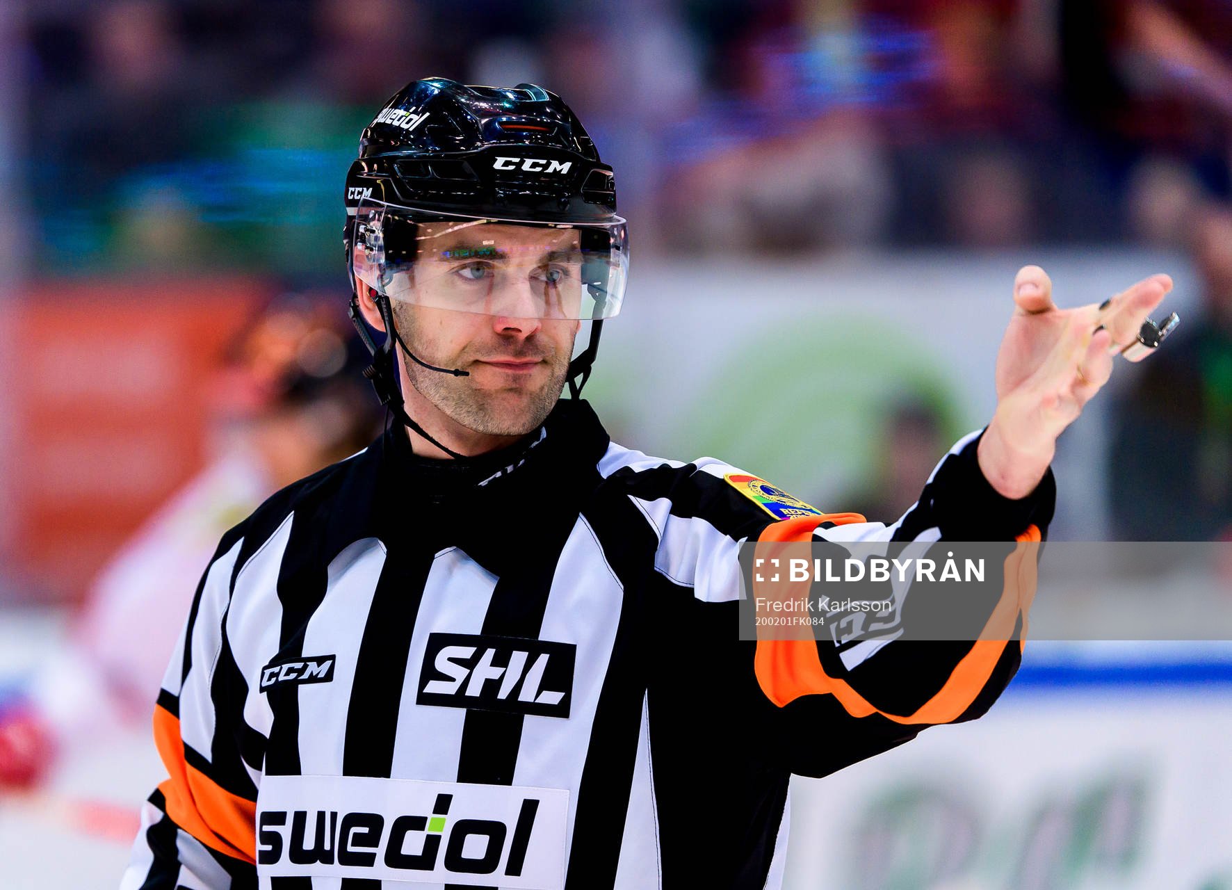 Domare Richard Magnusson