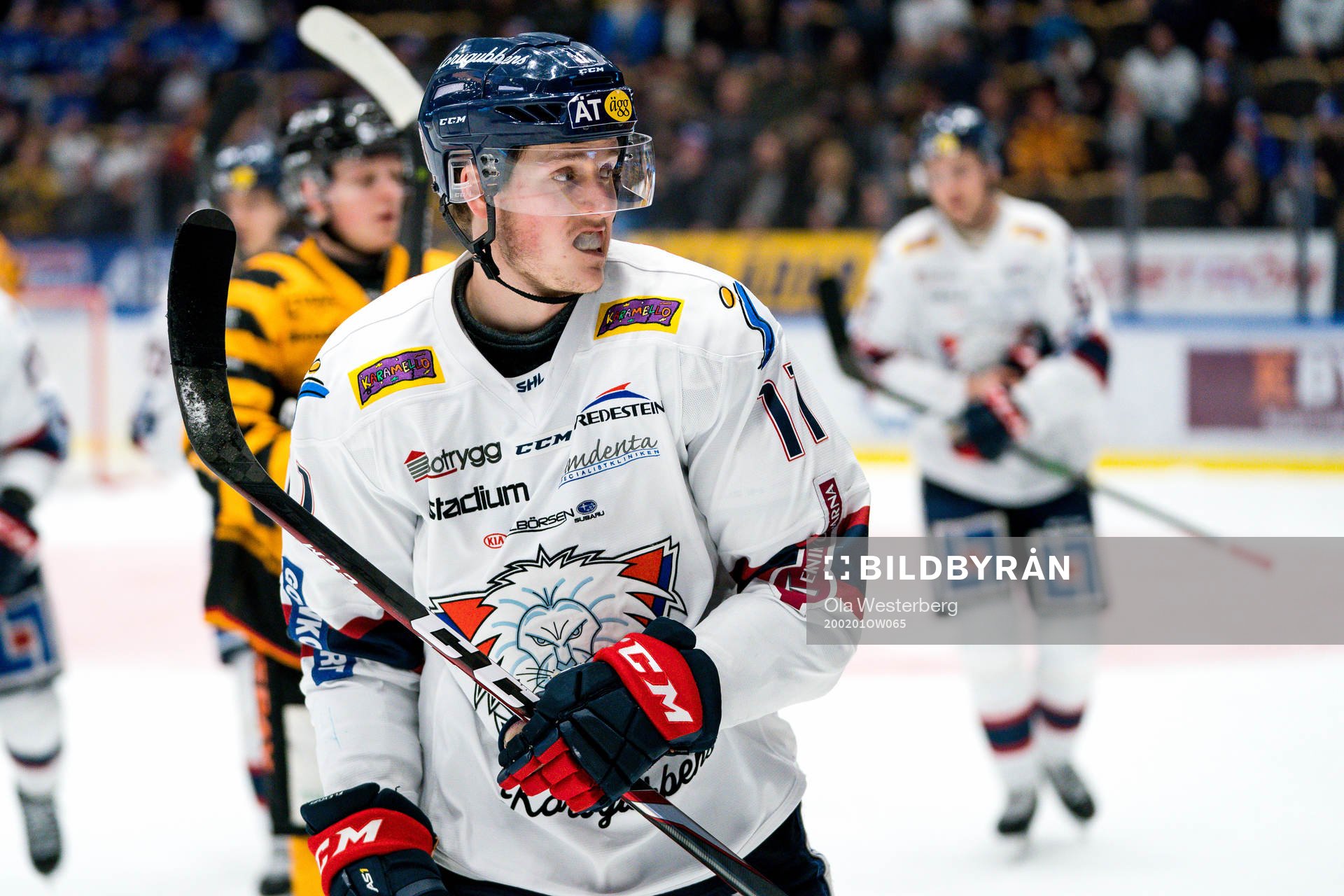 Linköping Henrik Törnqvist