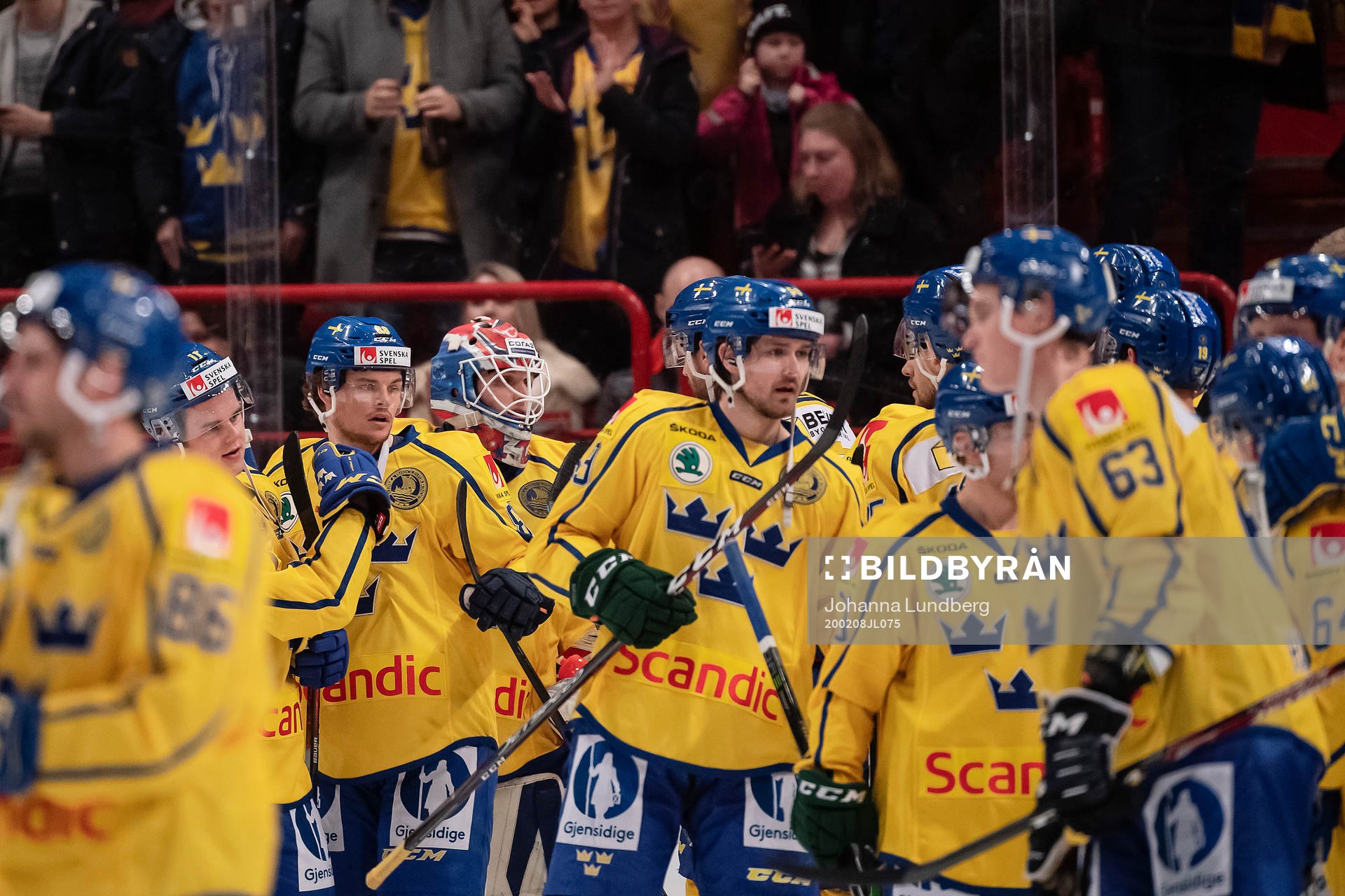 Players of Sweden celebrate
