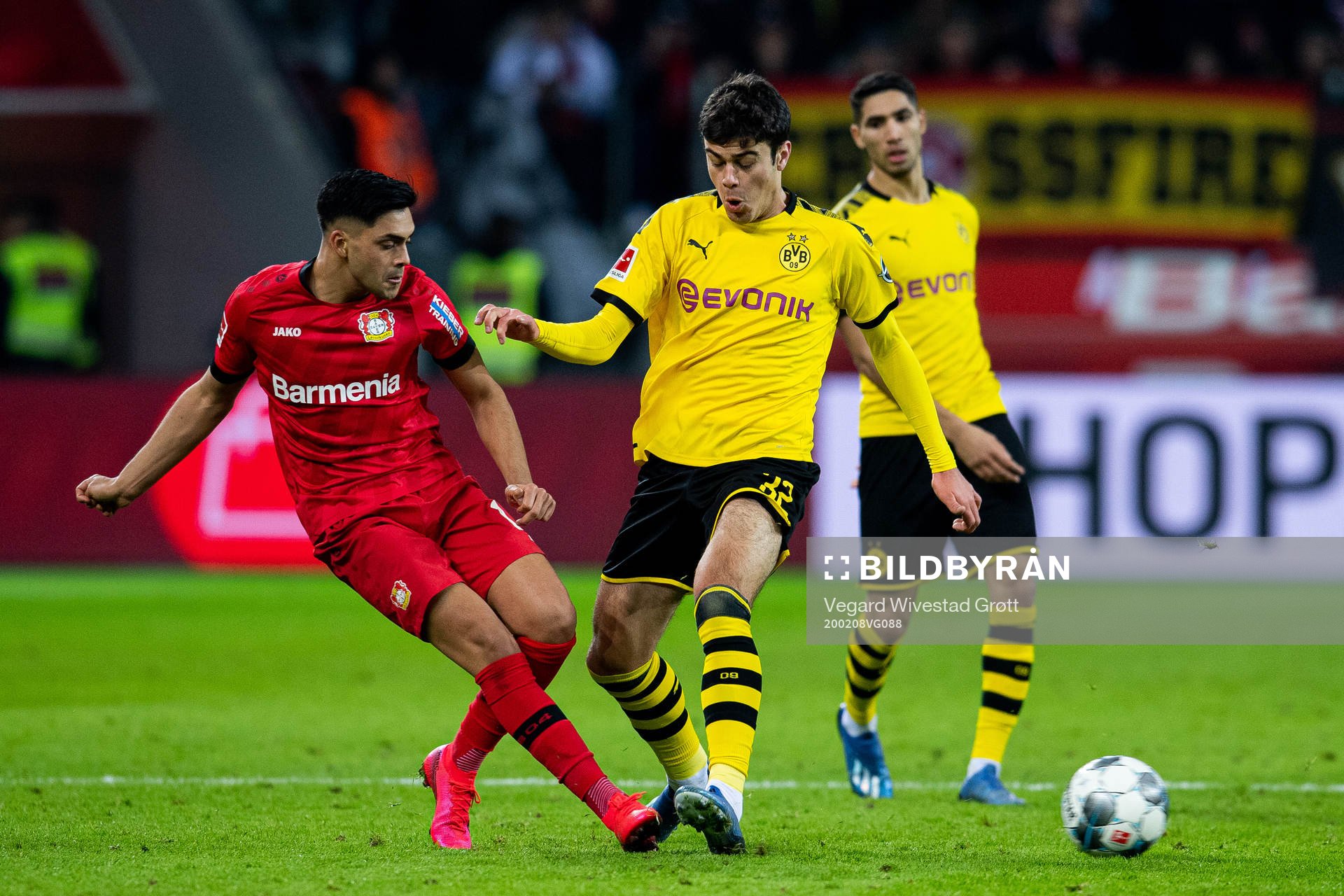Nadiem Amiri of Bayer Leverkusen and Giovanni Reyna of