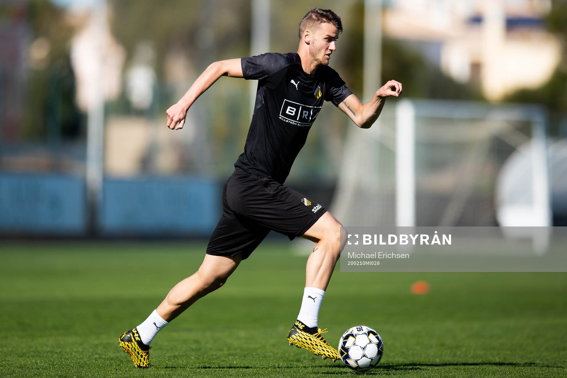 Häckens Johan Hammar