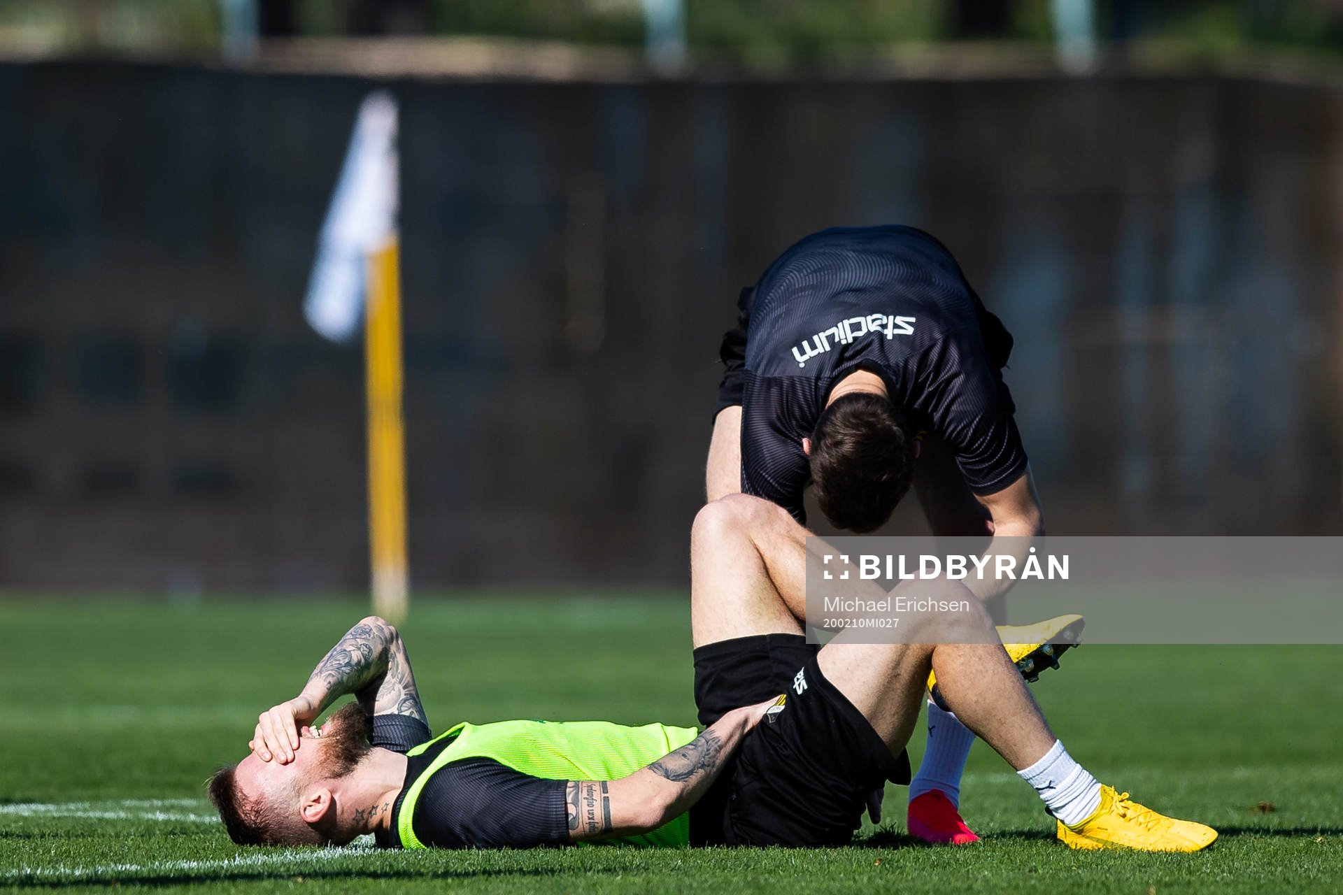 Häckens Alexander Faltsetas liggande