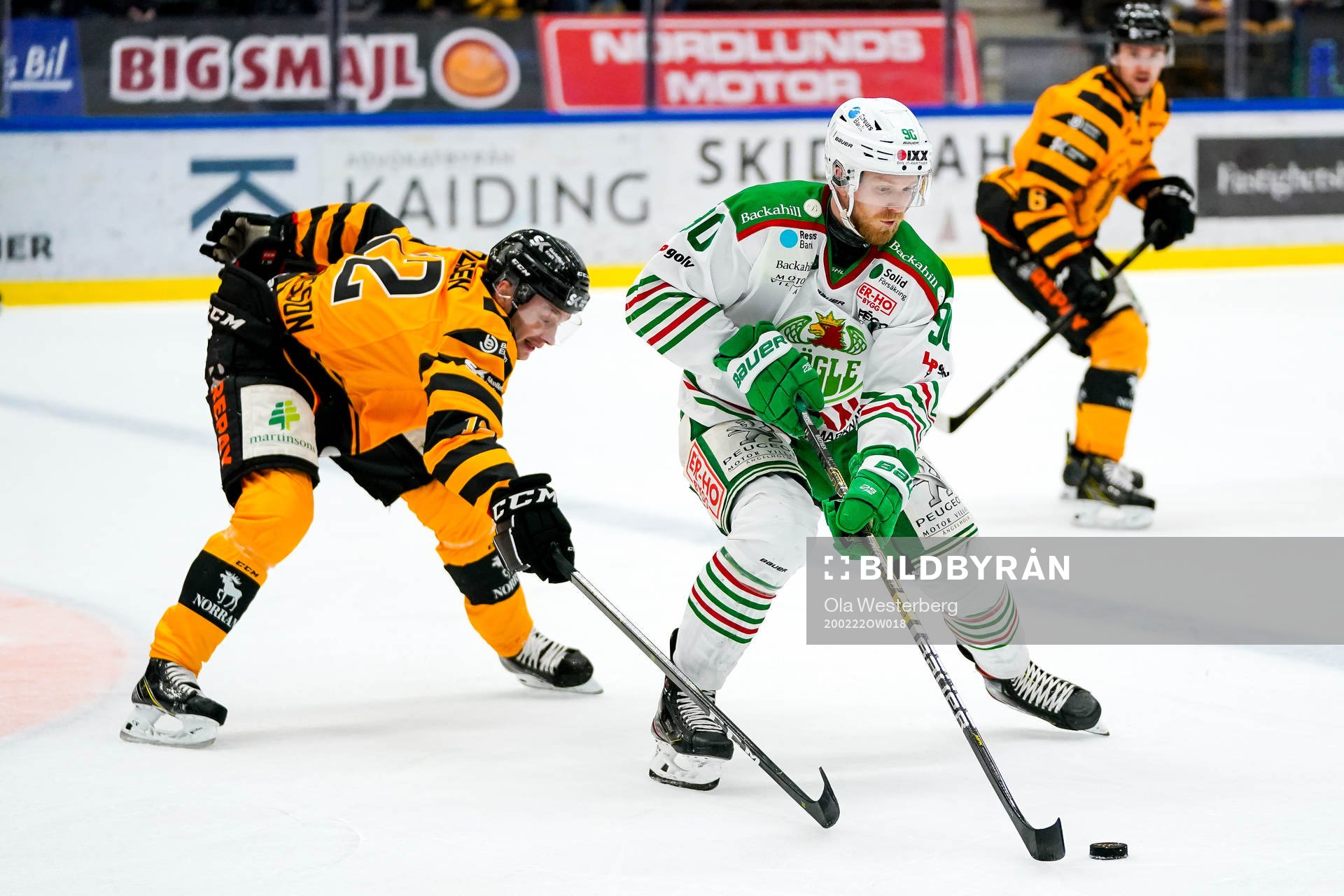 Skellefteås Adam Pettersson
