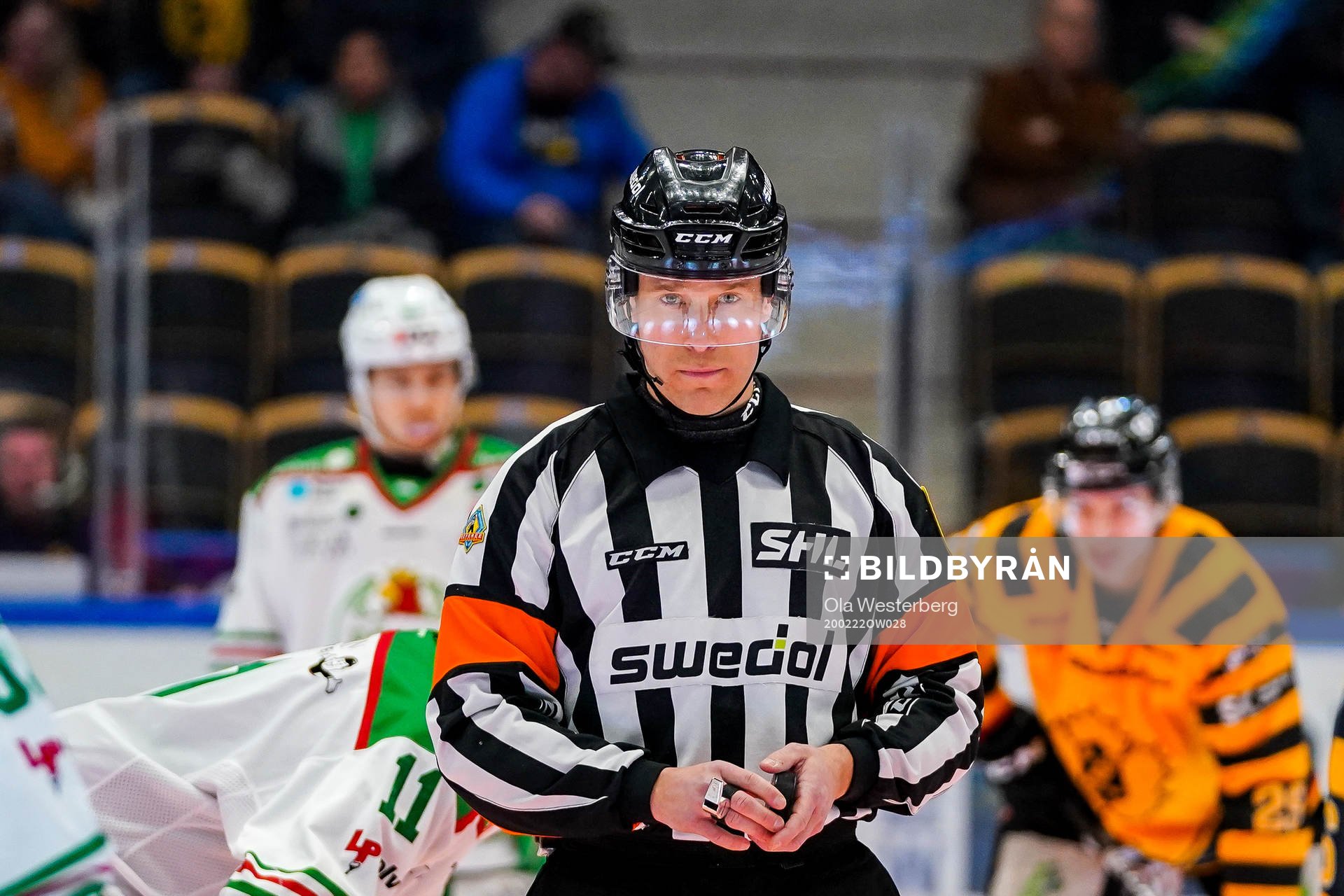Domare Tobias Björk