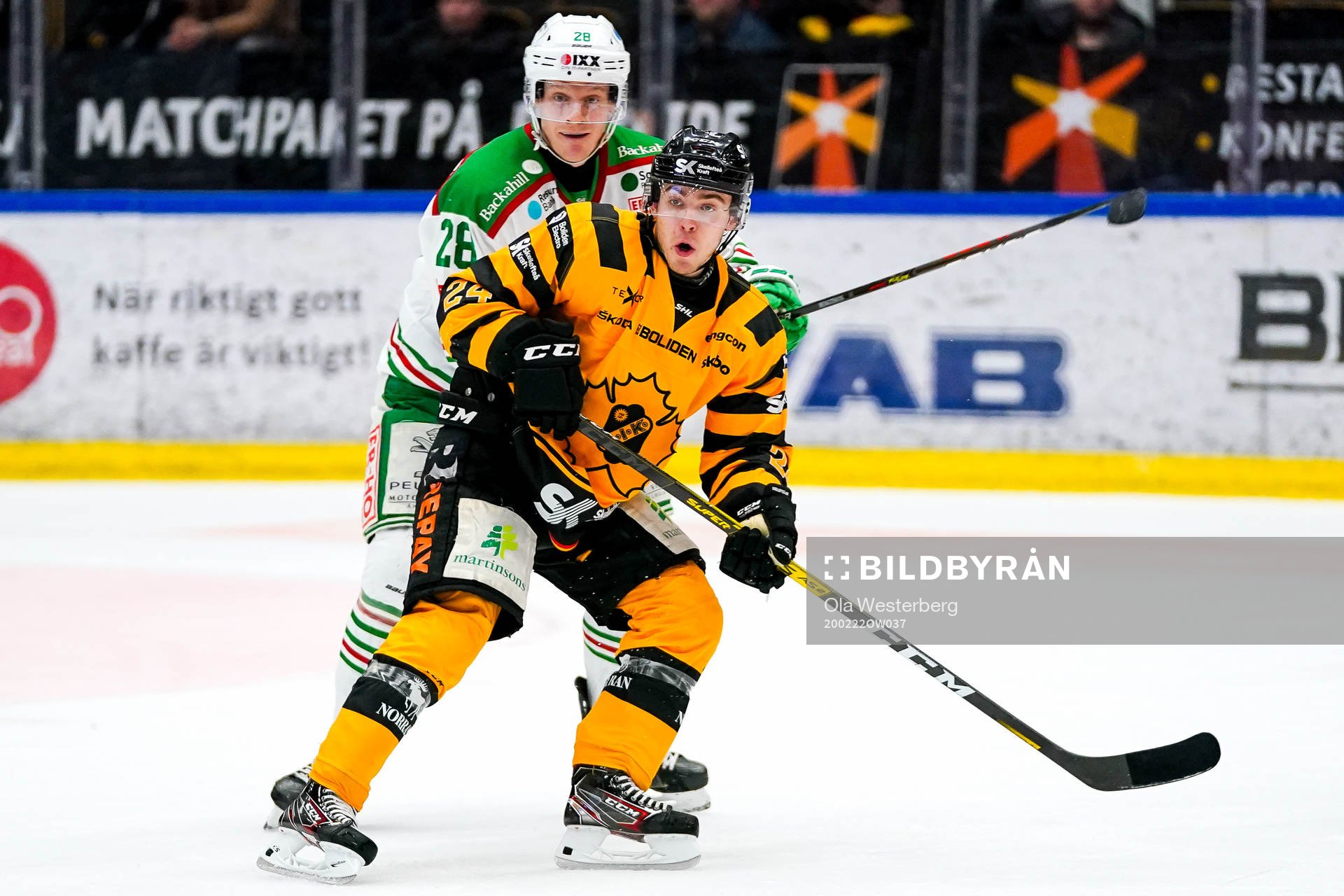 Skellefteås Andreas Wingerli