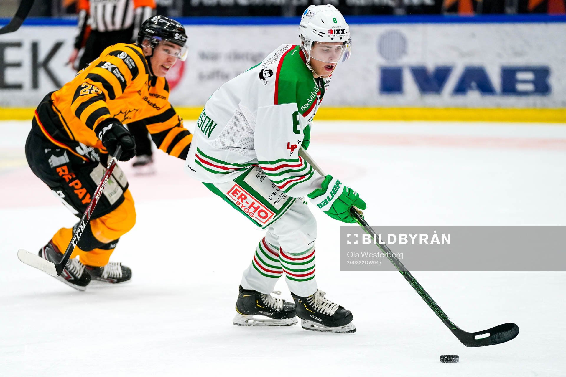 Skellefteås Albin Sundsvik