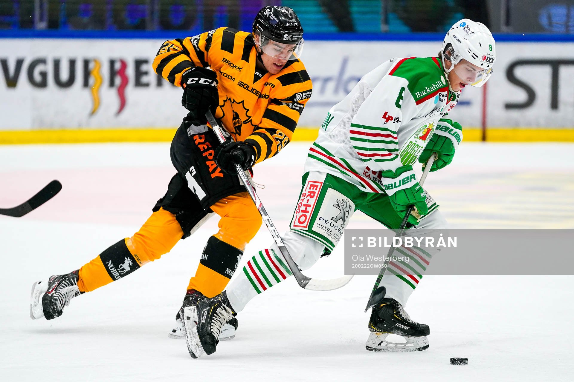 Skellefteås Albin Sundsvik