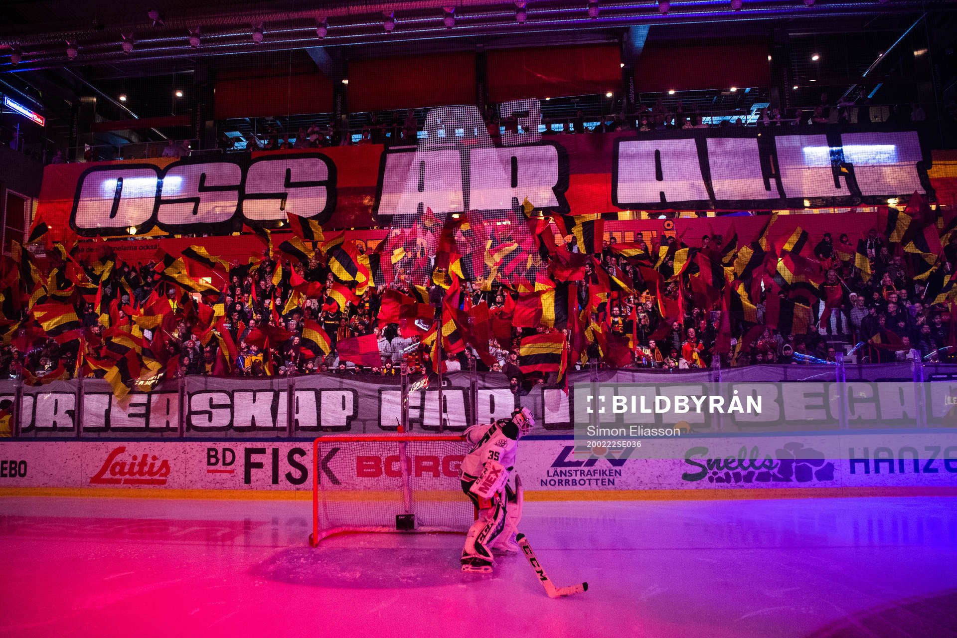 Luleås supportrar med tifo