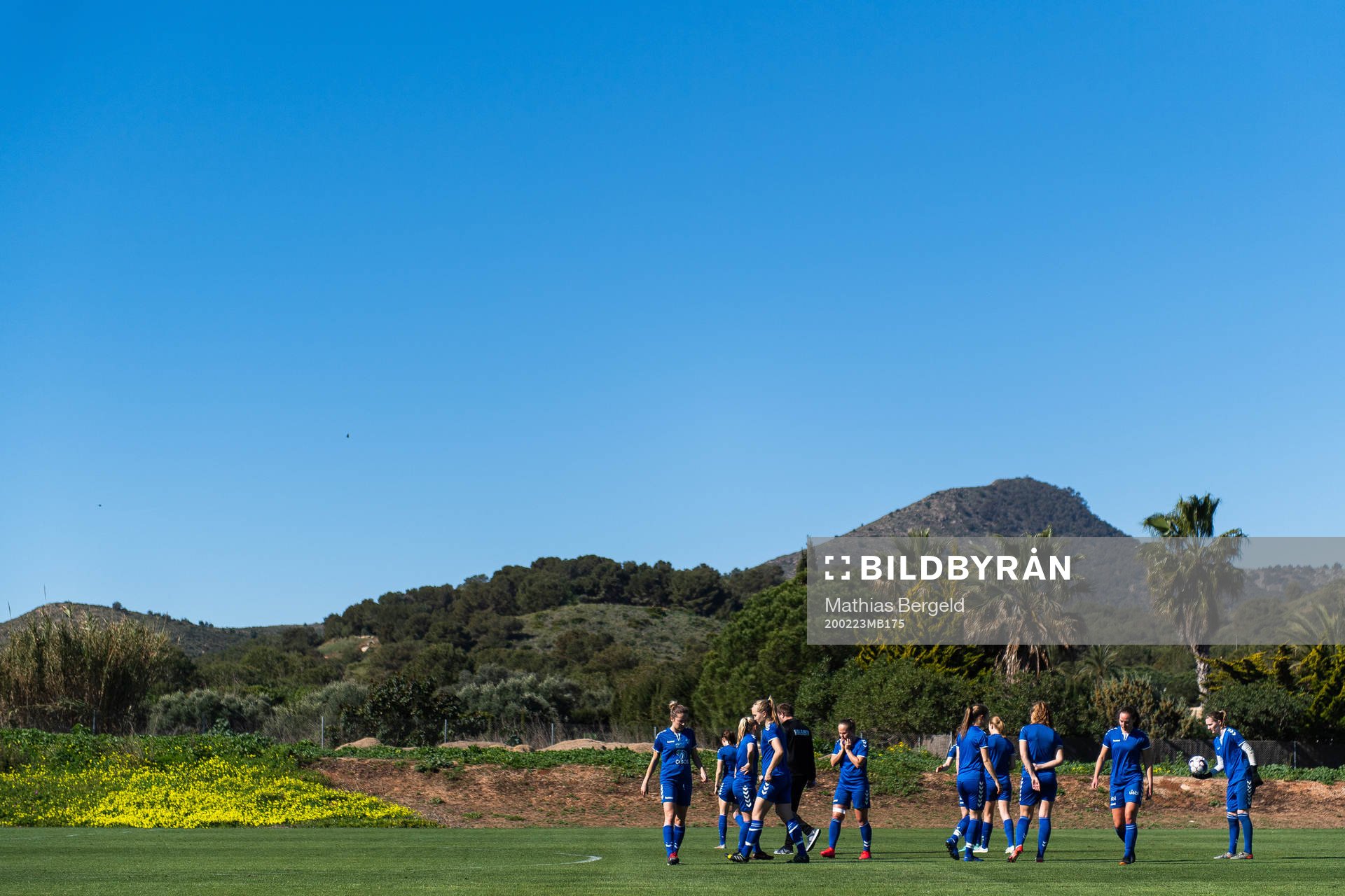 Players of Kolbotn