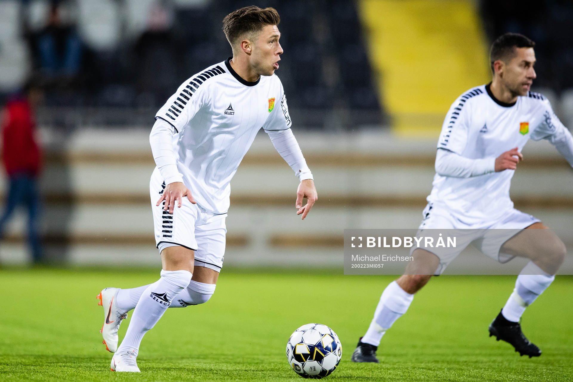 Gais Nikola Ladan