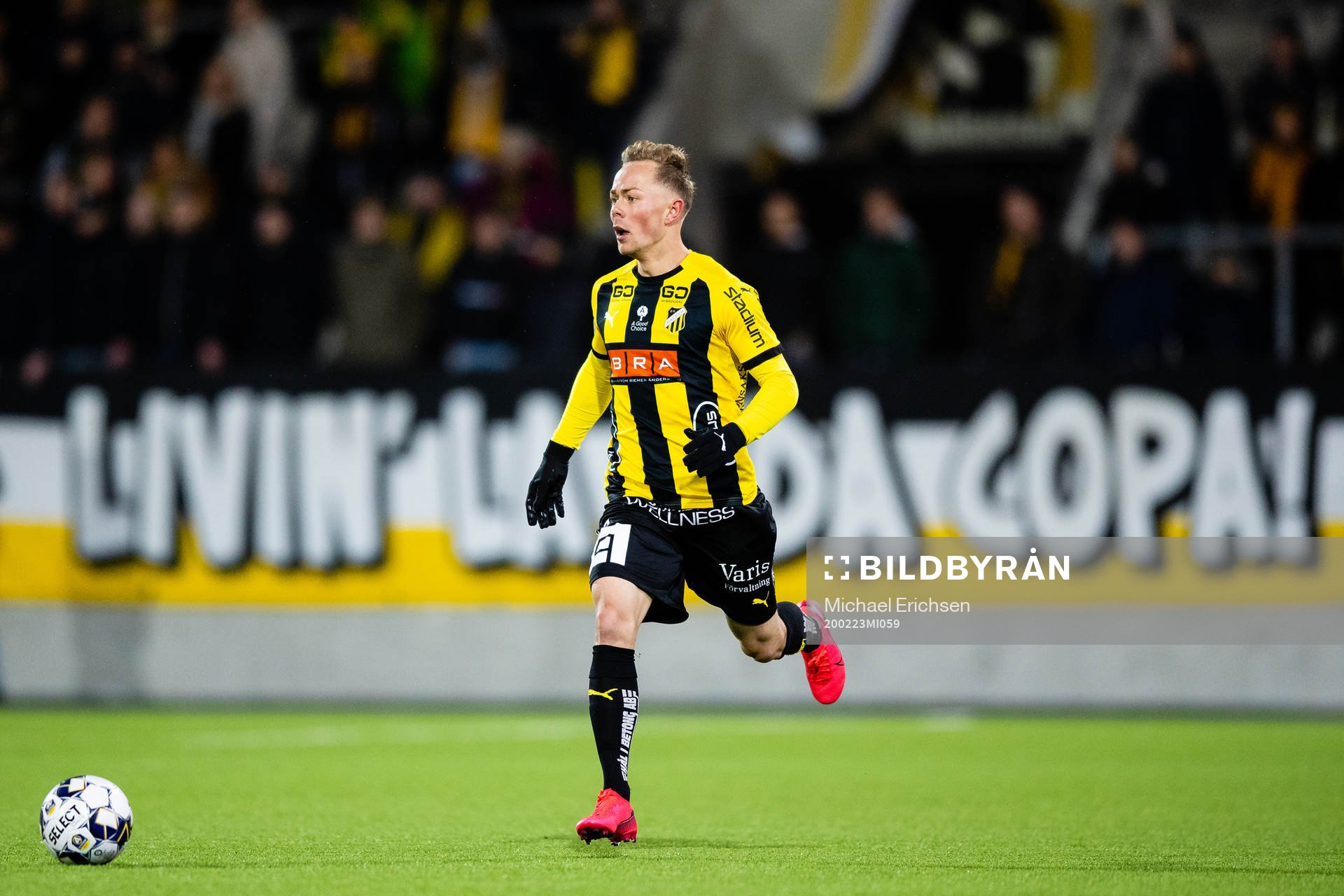 Häckens Adam Andersson