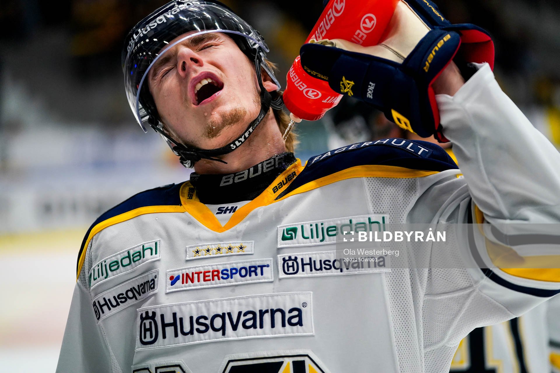 Hv71s Lias Andersson
