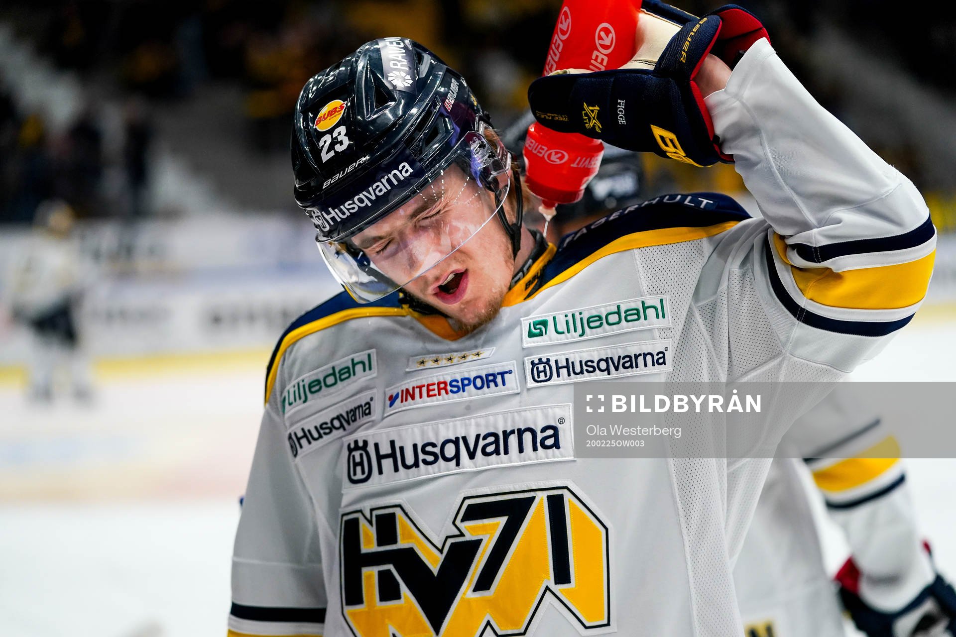 Hv71s Lias Andersson