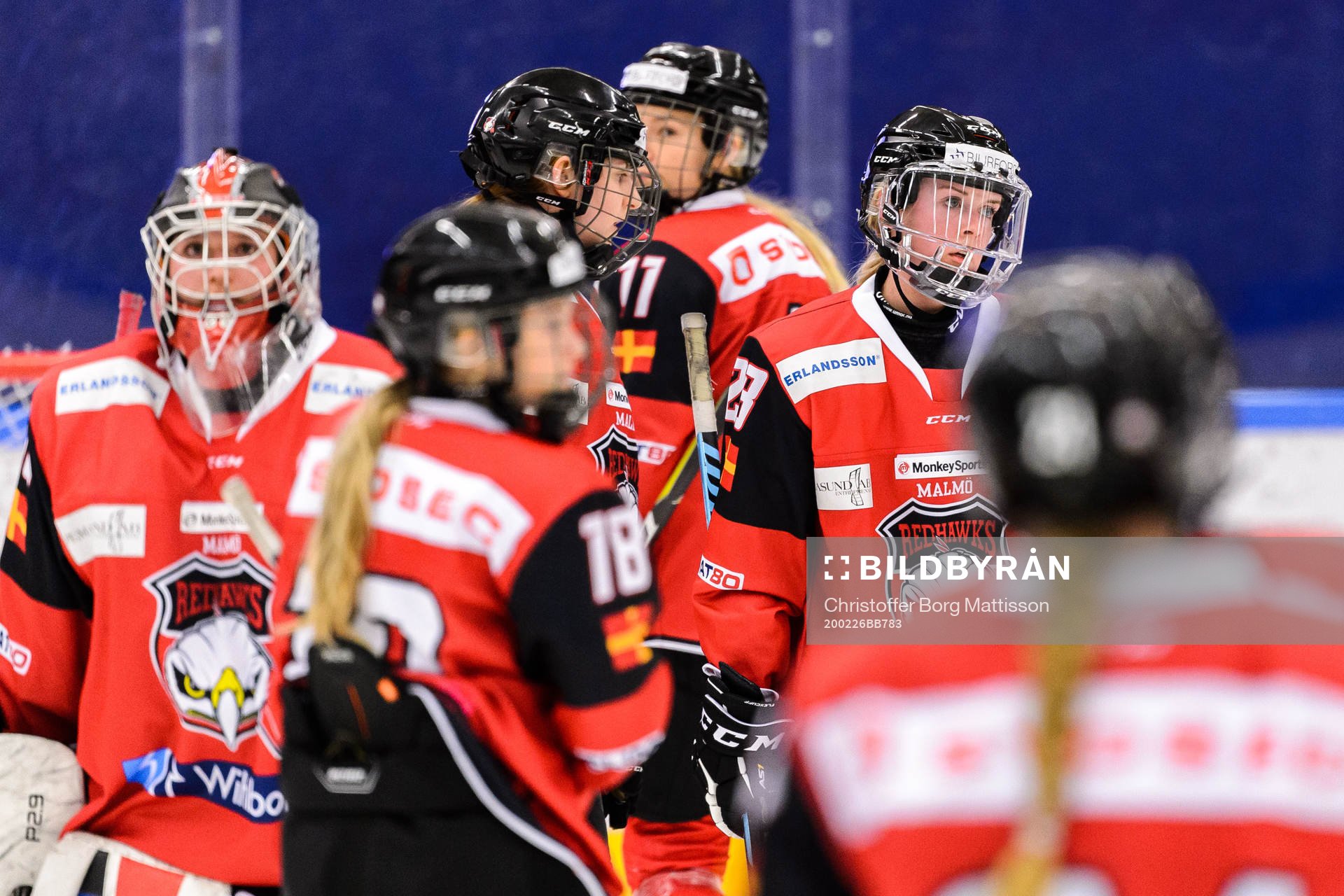 Malmö Redhawks spelare deppar