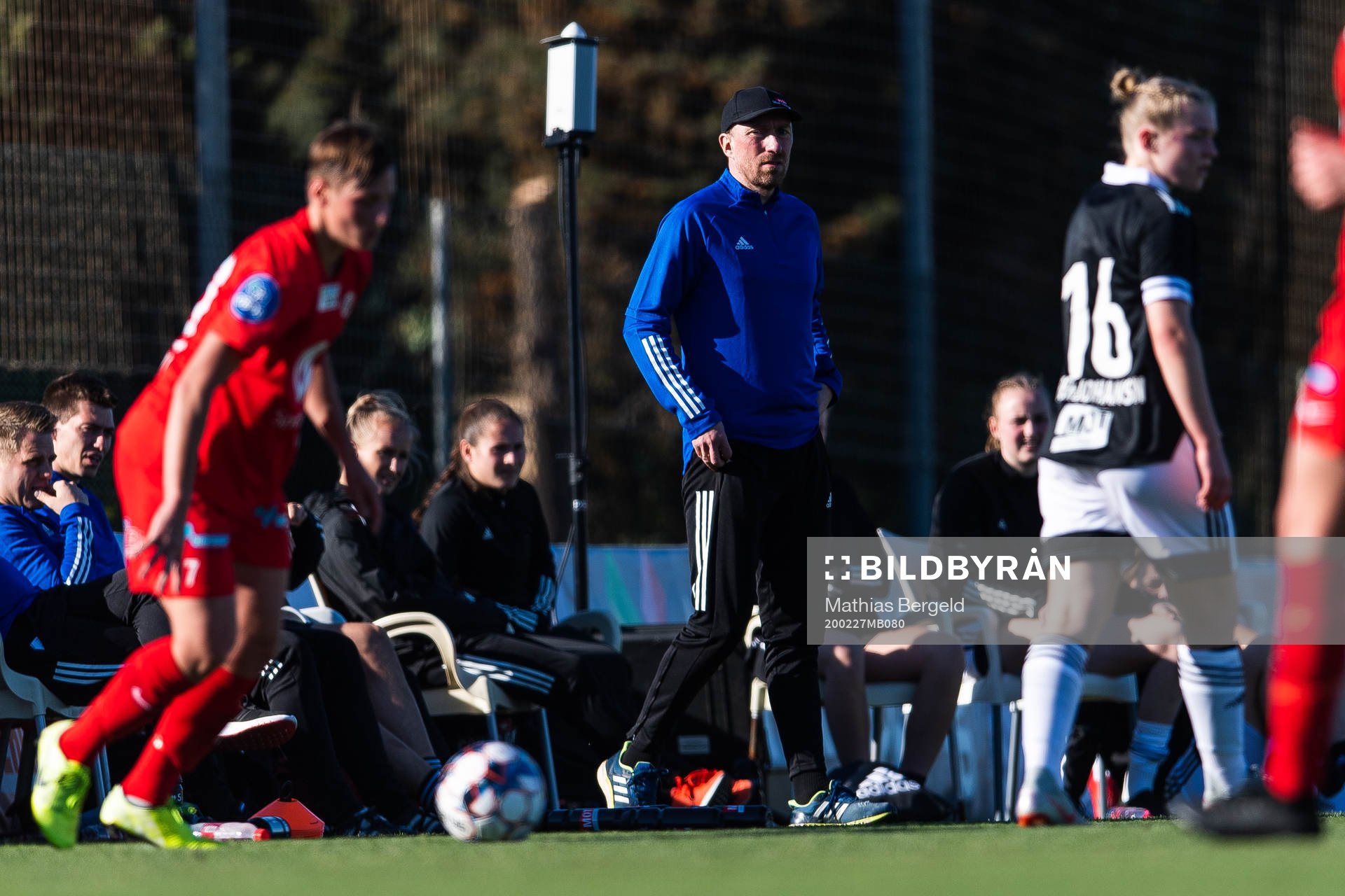 Steinar Lein, head coach of Rosenborg
