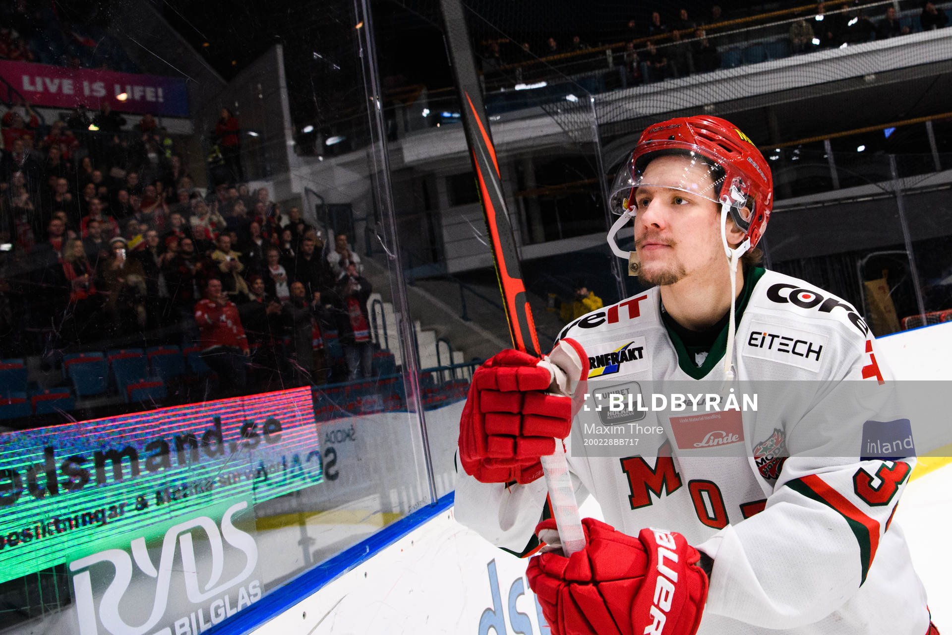 Modos Victor Berglund jublar