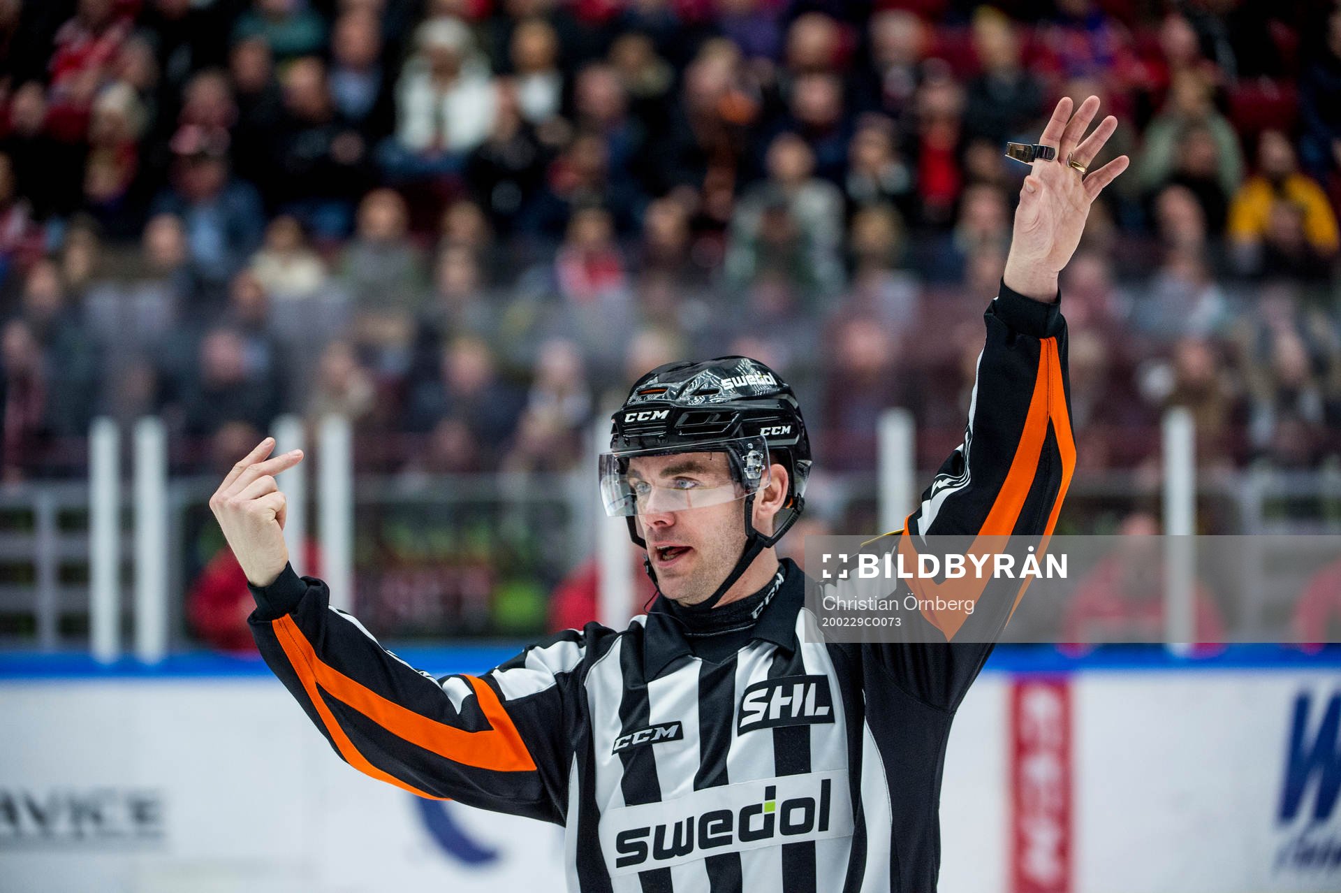 Domaren Richard Magnusson
