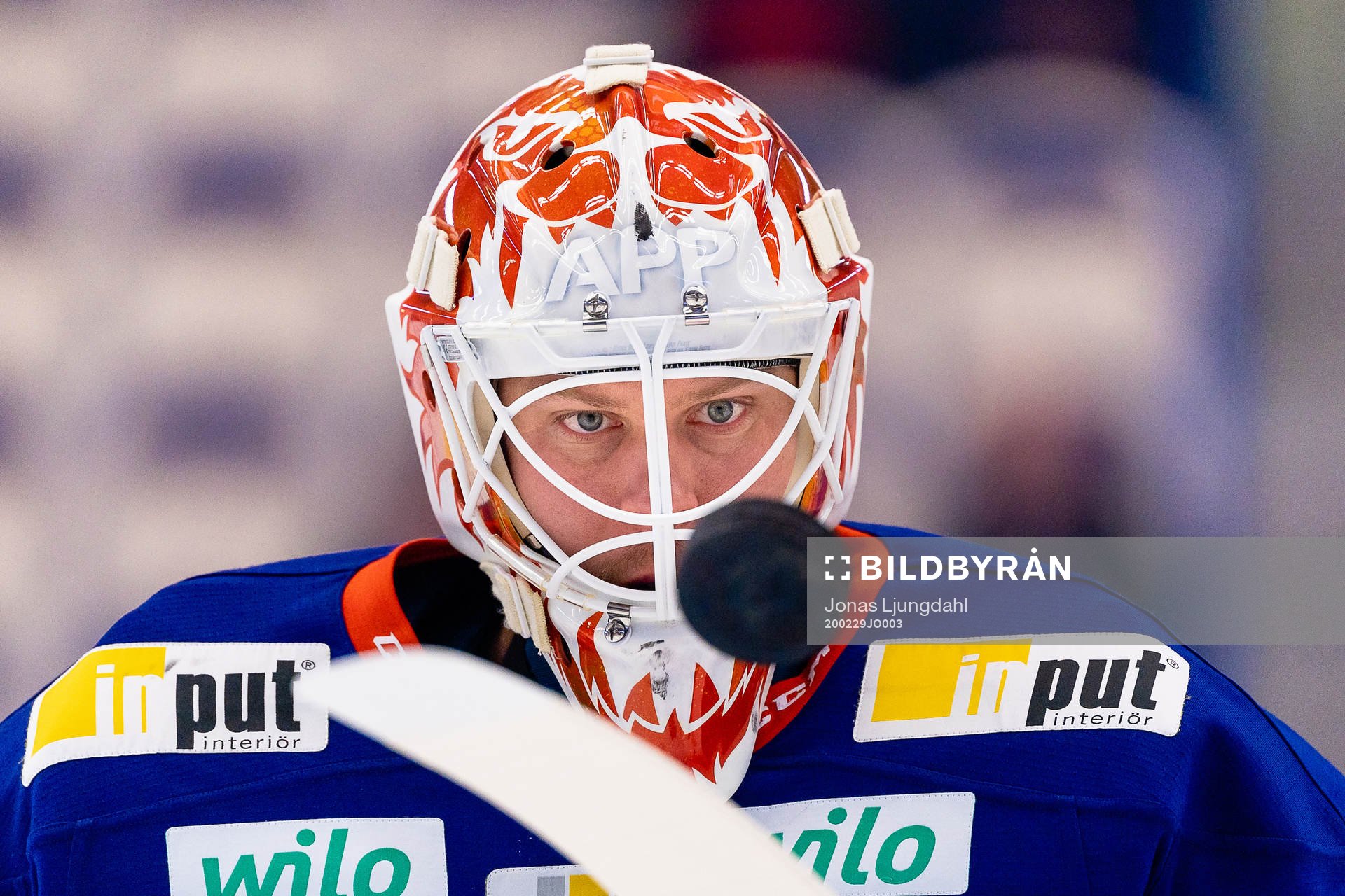 Växjös målvakt Viktor Fasth
