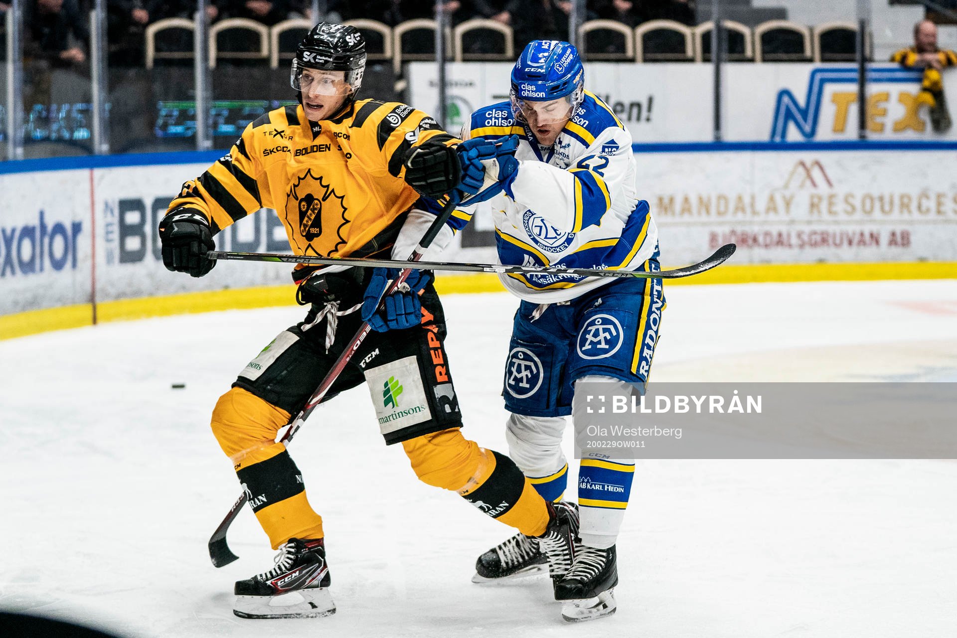 Skellefteås Robin Alvarez och Leksands Sebastian