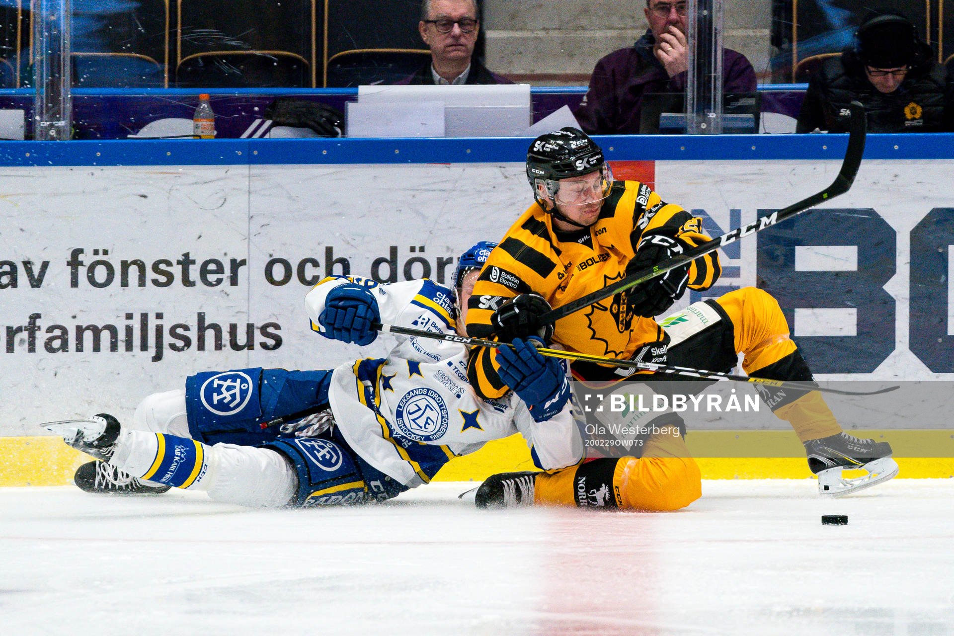 Skellefteås Adam Pettersson