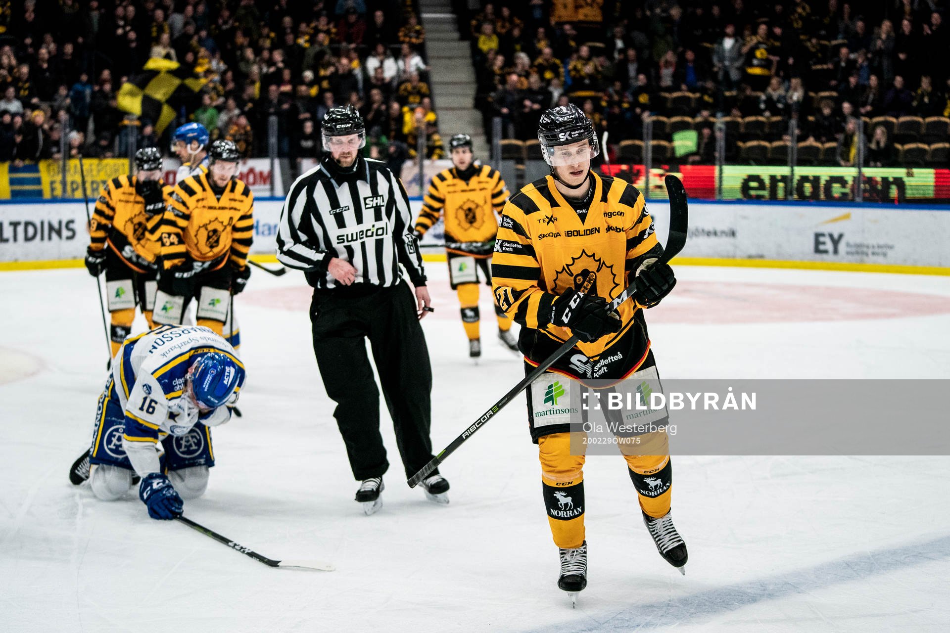 Skellefteås Robin Alvarez jublar